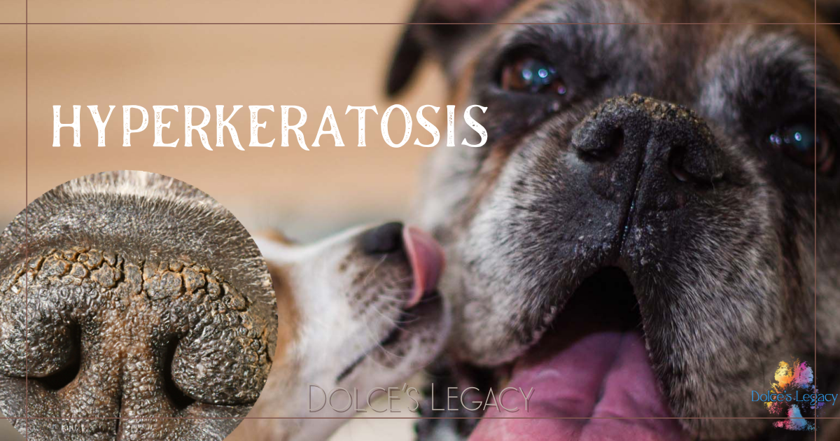 Hyperkeratosis - How normal is it really?