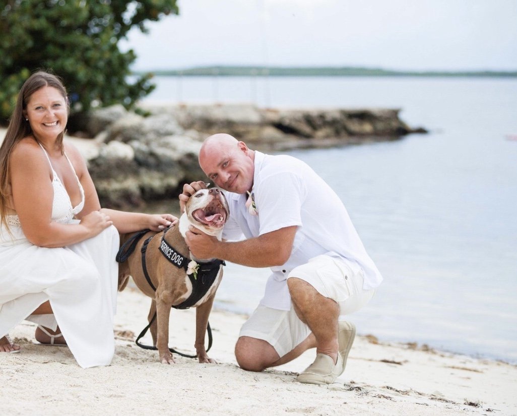 - SEO Title: Holistic Dog Nutritionist 1:1 Virtual Consults Dolce’s Legacy 1:1 holistic dog nutrition consults via telehealth. Personalized care plans, food therapy, and herbal support for hospice/palliative cancer dogs & healthy pets.