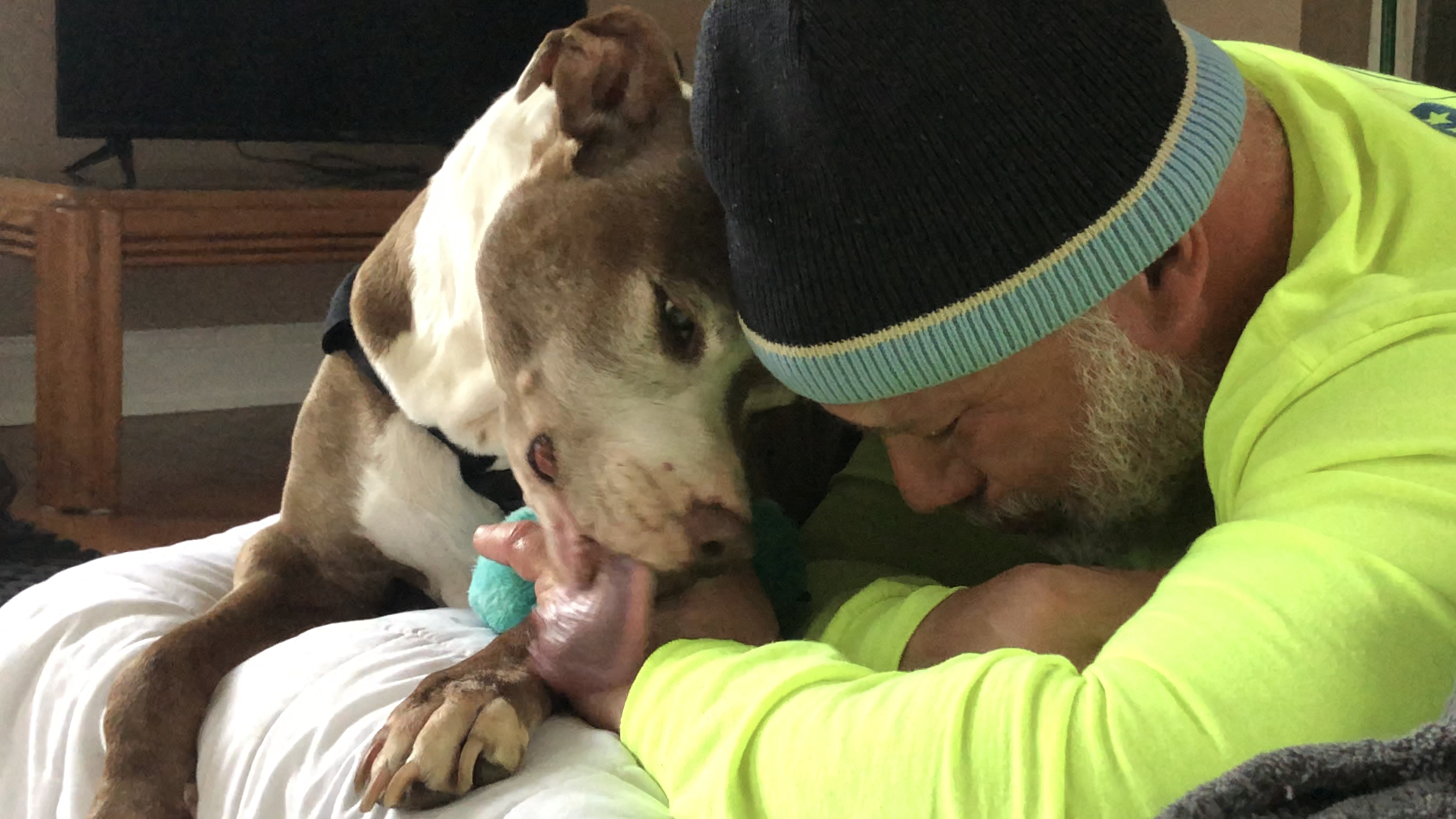 - SEO Title: Holistic Dog Nutritionist 1:1 Virtual Consults Dolce’s Legacy 1:1 holistic dog nutrition consults via telehealth. Personalized care plans, food therapy, and herbal support for hospice/palliative cancer dogs & healthy pets.