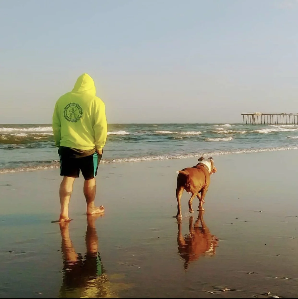 - SEO Title: Holistic Dog Nutritionist 1:1 Virtual Consults Dolce’s Legacy 1:1 holistic dog nutrition consults via telehealth. Personalized care plans, food therapy, and herbal support for hospice/palliative cancer dogs & healthy pets.
