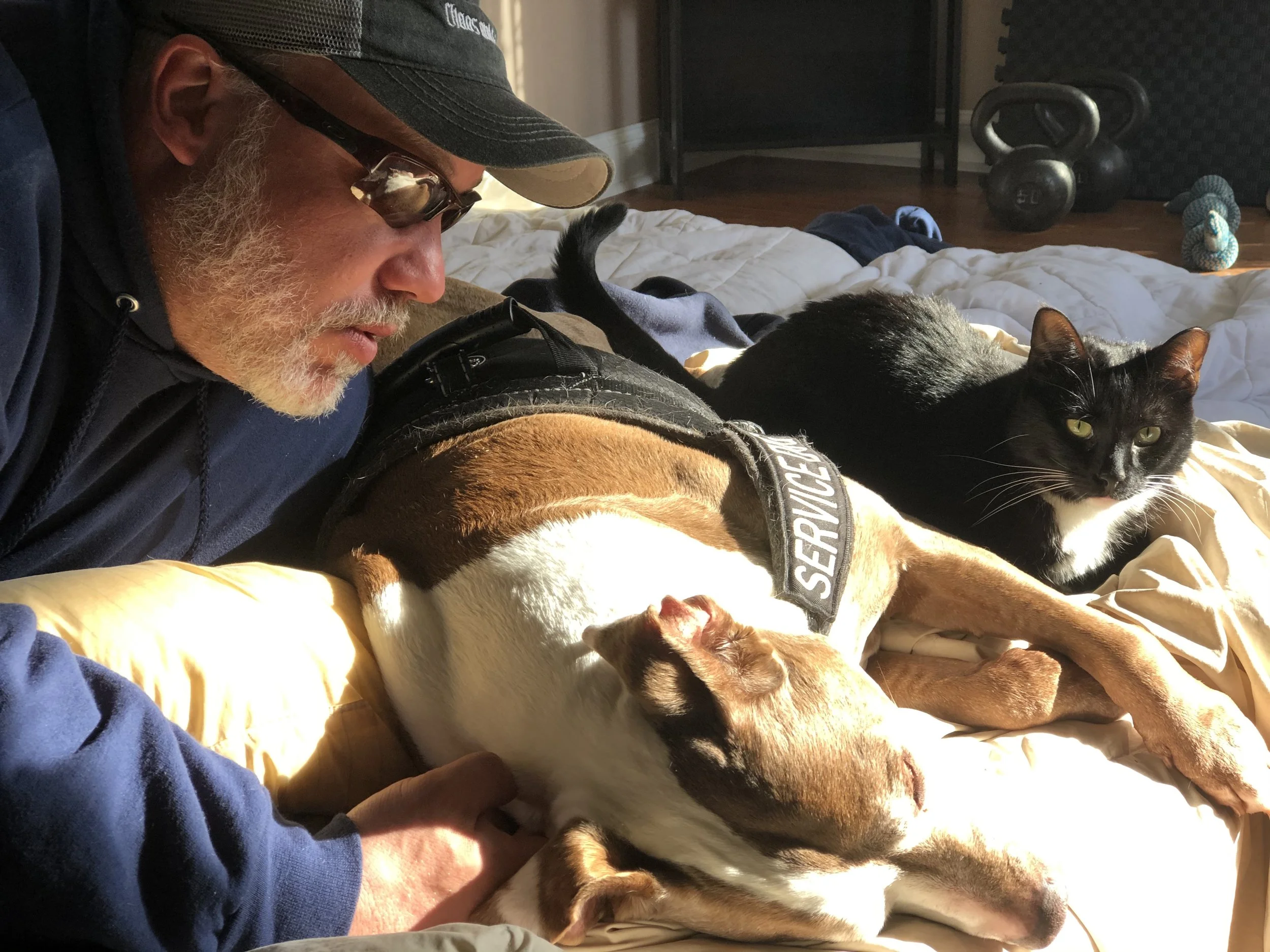 - SEO Title: Holistic Dog Nutritionist 1:1 Virtual Consults Dolce’s Legacy 1:1 holistic dog nutrition consults via telehealth. Personalized care plans, food therapy, and herbal support for hospice/palliative cancer dogs & healthy pets.