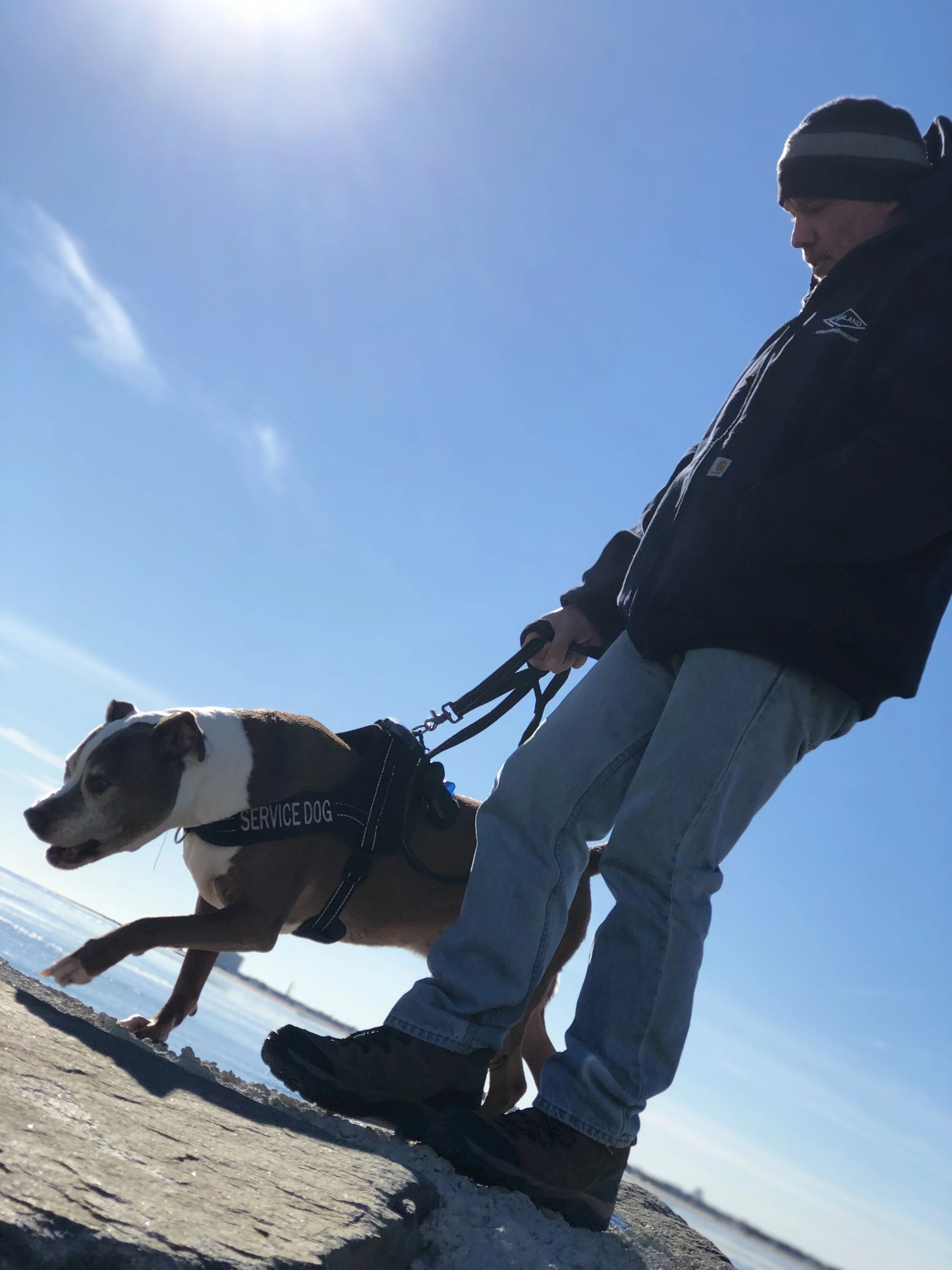 - SEO Title: Holistic Dog Nutritionist 1:1 Virtual Consults Dolce’s Legacy 1:1 holistic dog nutrition consults via telehealth. Personalized care plans, food therapy, and herbal support for hospice/palliative cancer dogs & healthy pets.