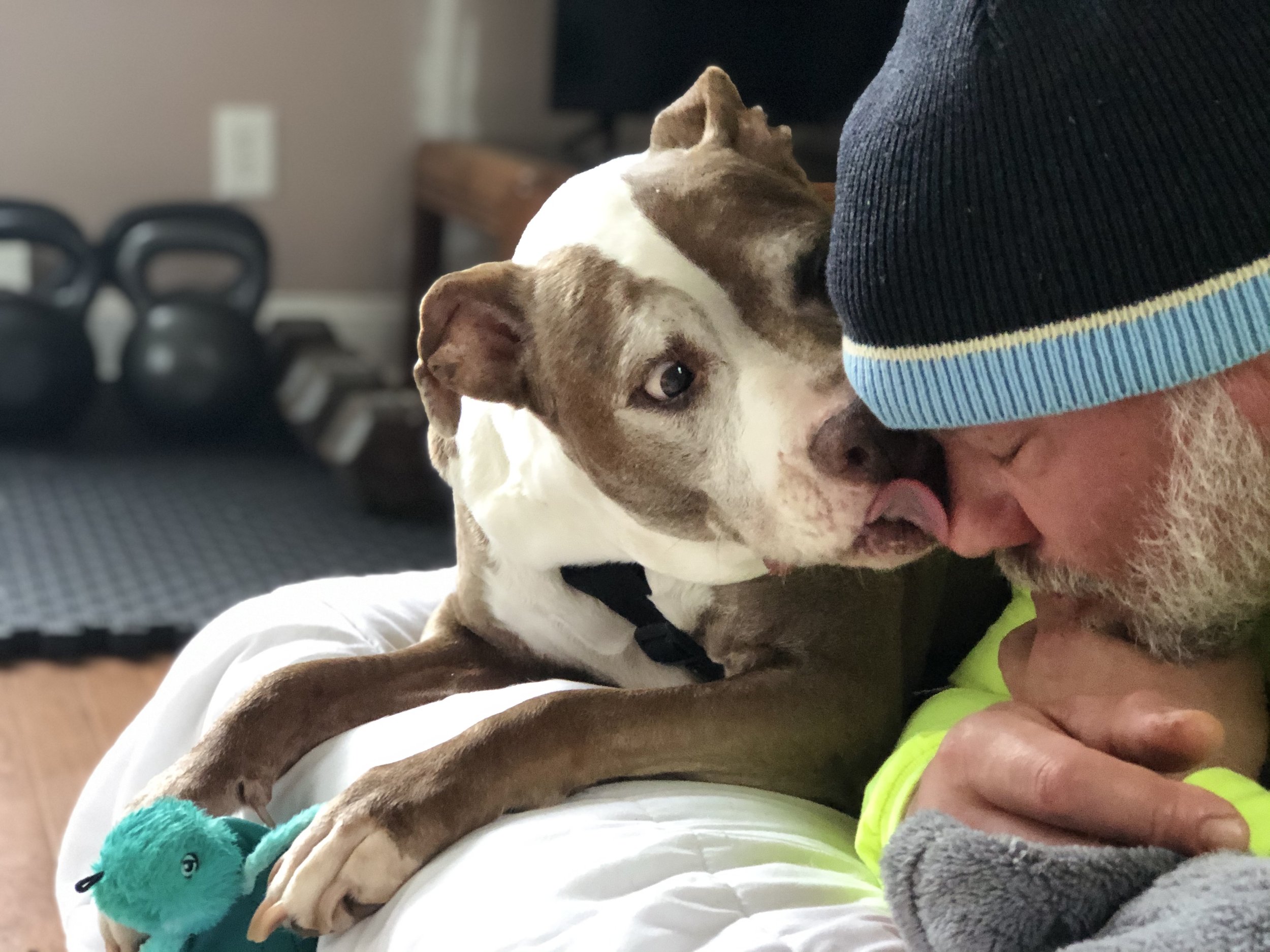 - SEO Title: Holistic Dog Nutritionist 1:1 Virtual Consults Dolce’s Legacy 1:1 holistic dog nutrition consults via telehealth. Personalized care plans, food therapy, and herbal support for hospice/palliative cancer dogs & healthy pets.