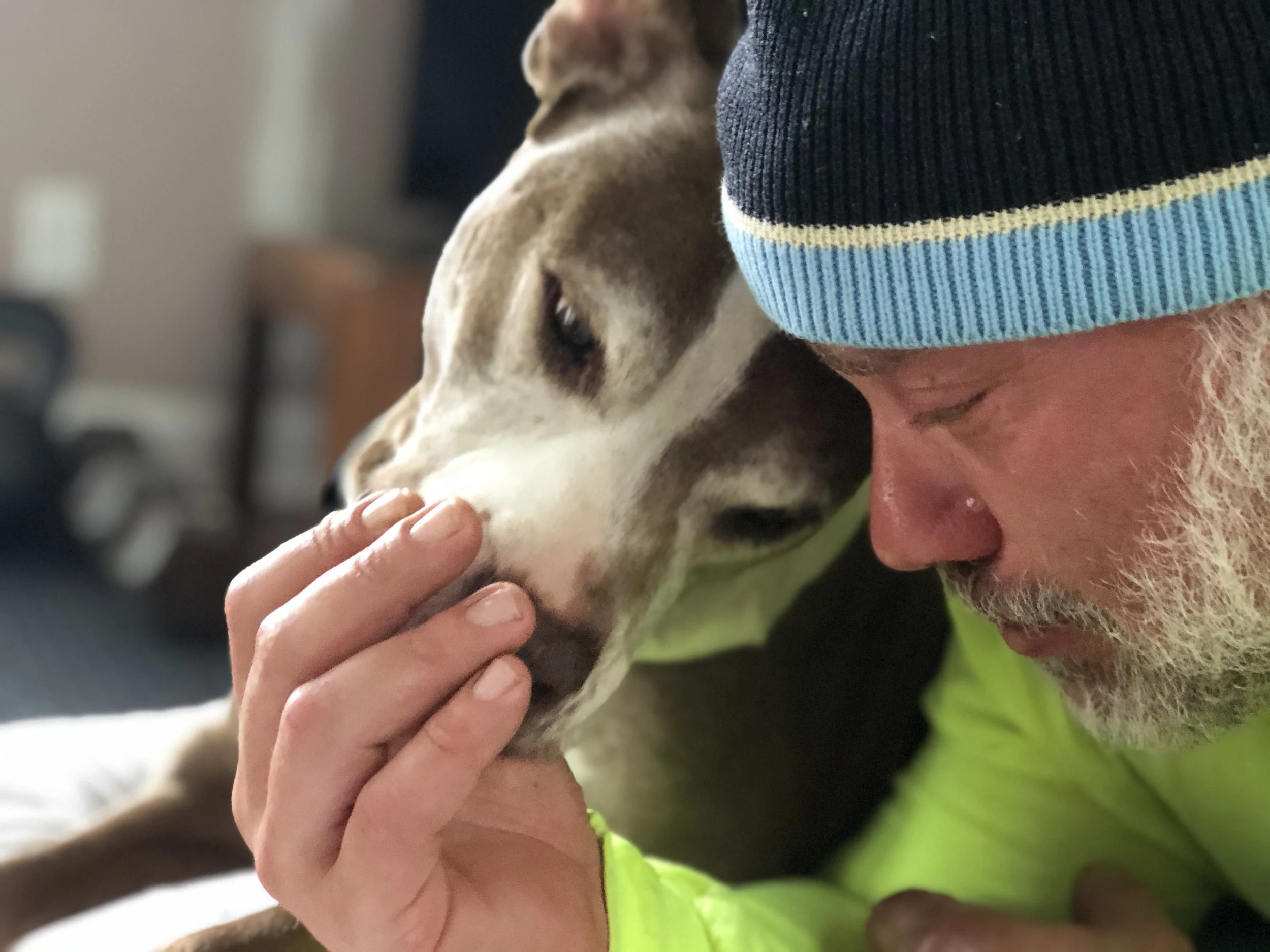- SEO Title: Holistic Dog Nutritionist 1:1 Virtual Consults Dolce’s Legacy 1:1 holistic dog nutrition consults via telehealth. Personalized care plans, food therapy, and herbal support for hospice/palliative cancer dogs & healthy pets.