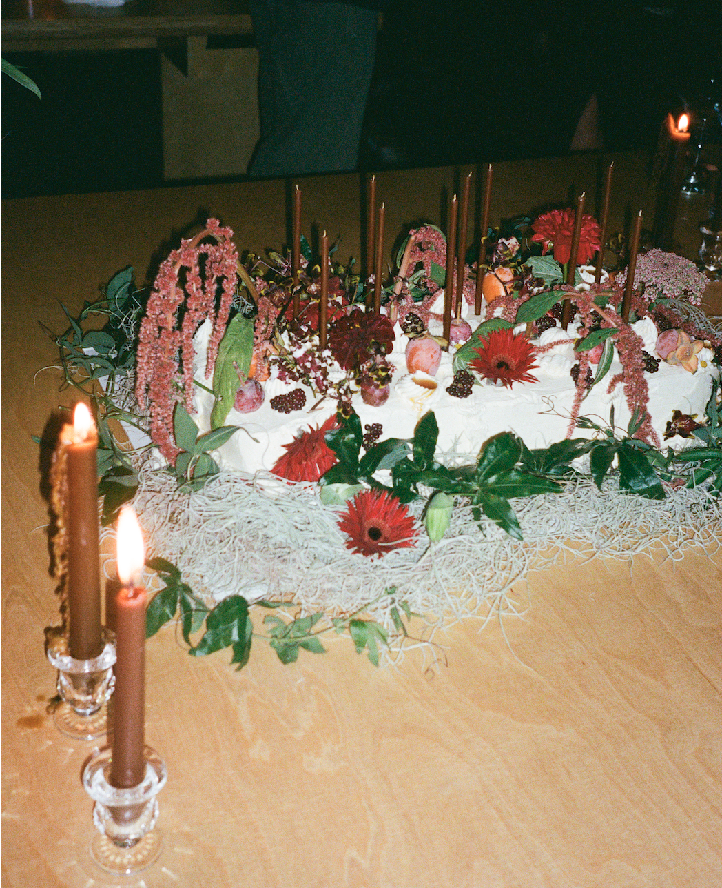 Screenshot 2026-02-24 at 2.42.10 PM.png