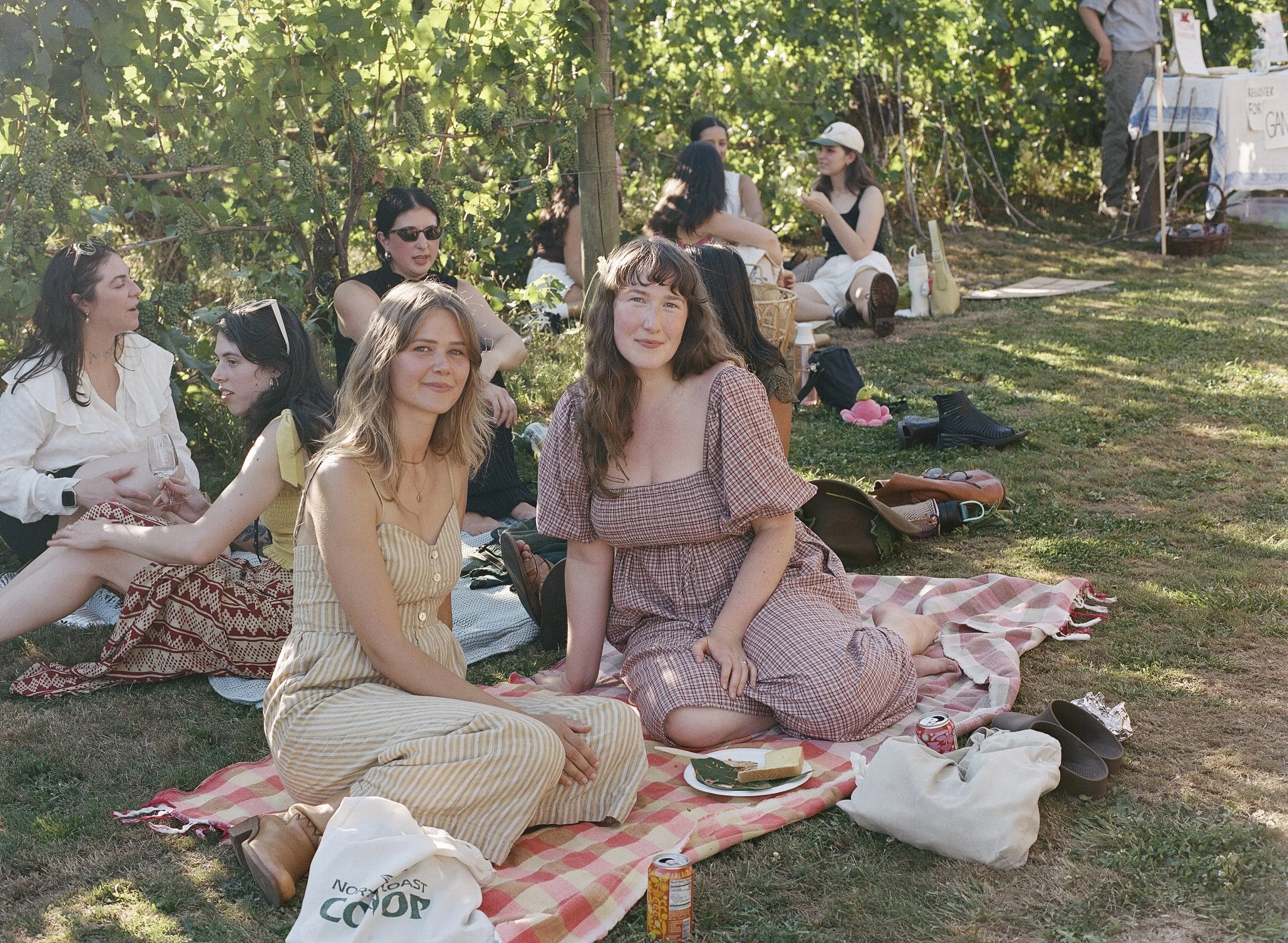 805461_0003- Edit.jpg