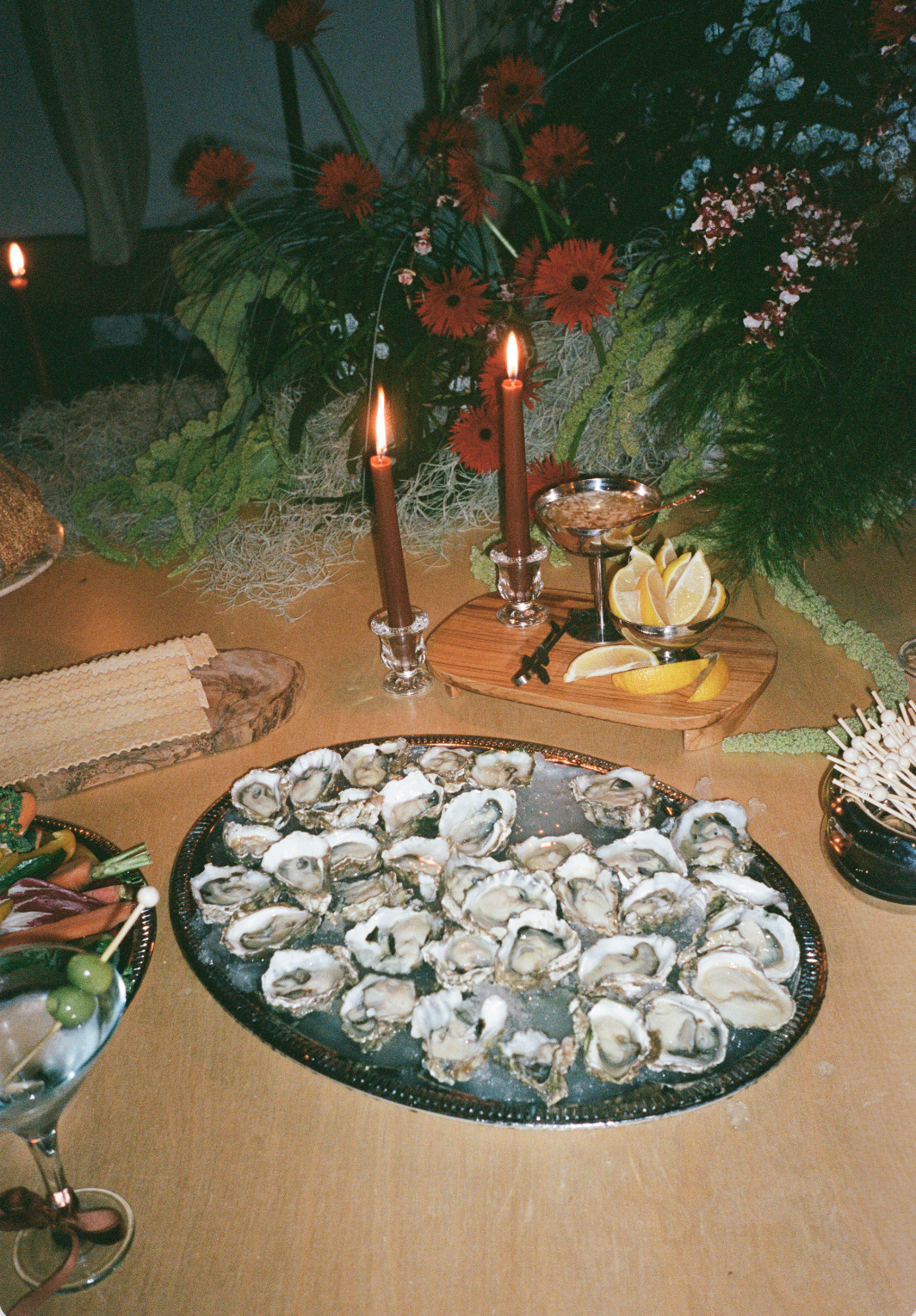 Screenshot 2026-02-24 at 2.42.38 PM.png