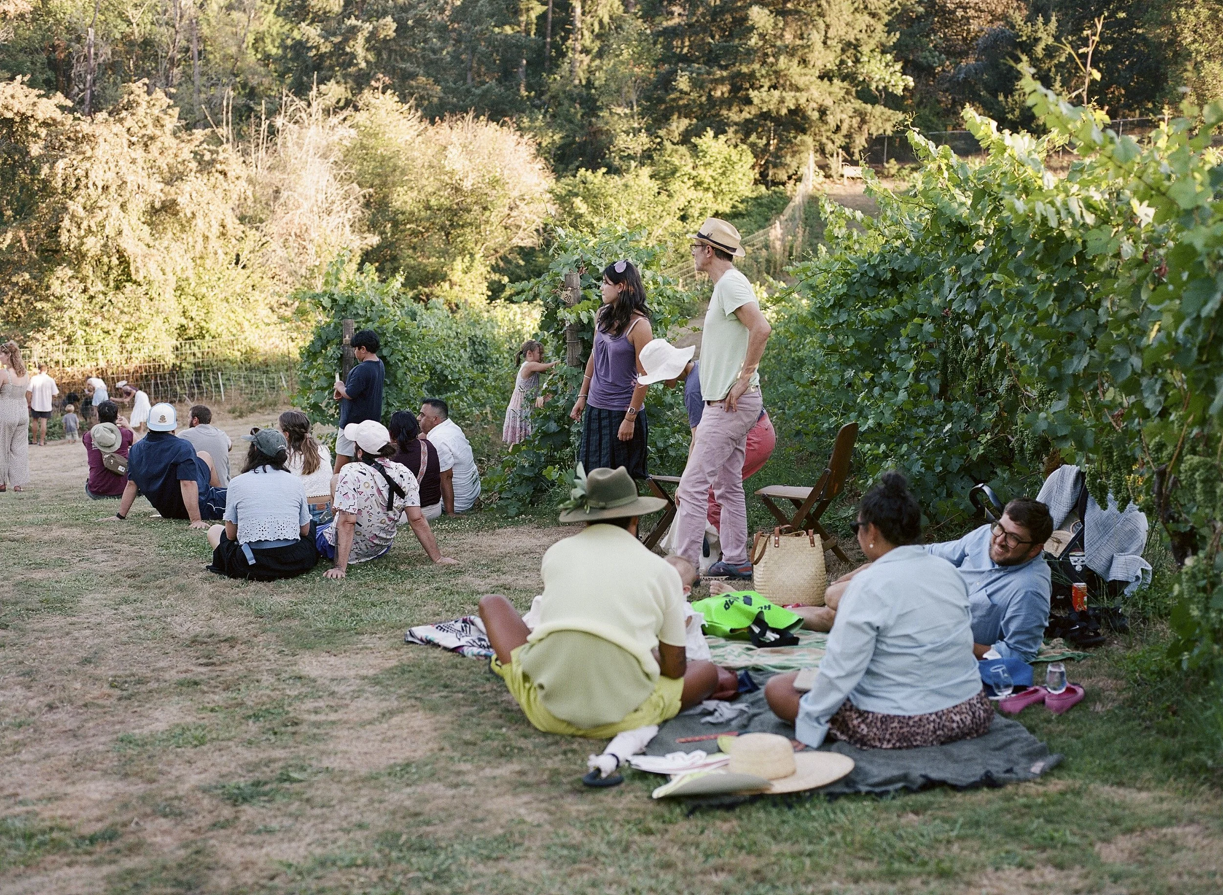 805461_0010- Edit.jpg