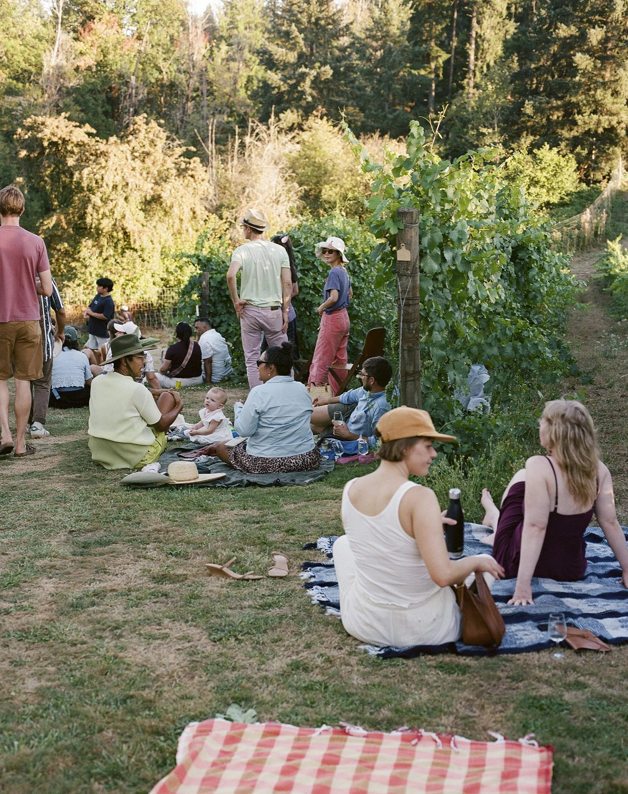 805461_0009- Edit.jpg