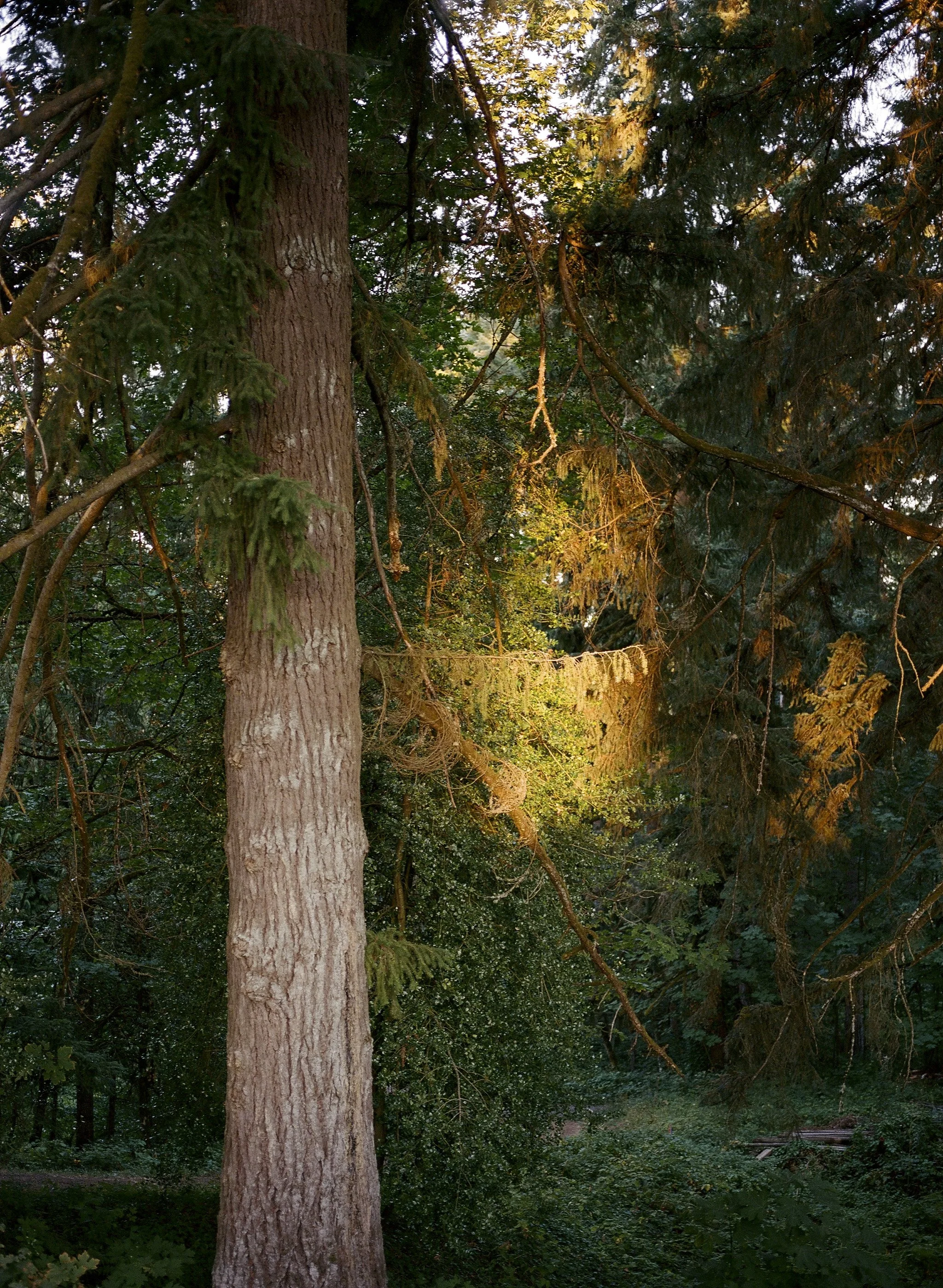 805461_0015- Edit.jpg