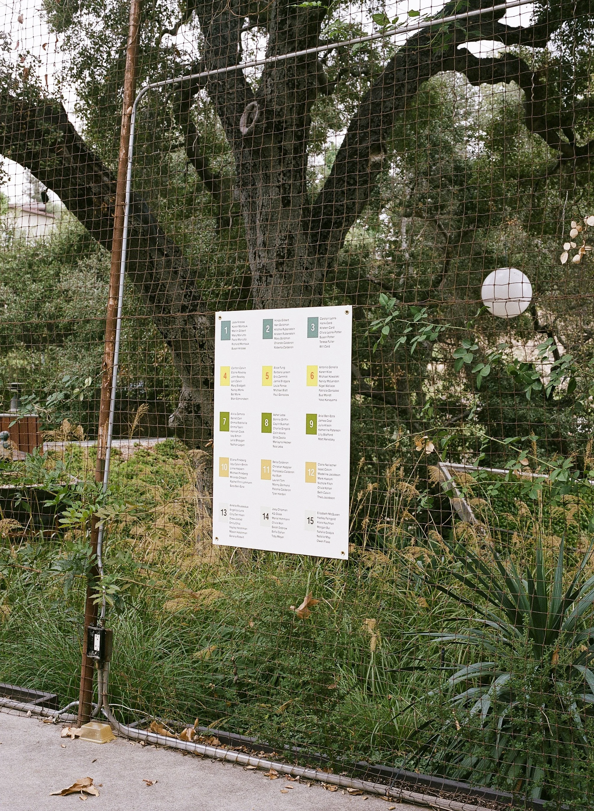 816946_0016- Edit.jpg