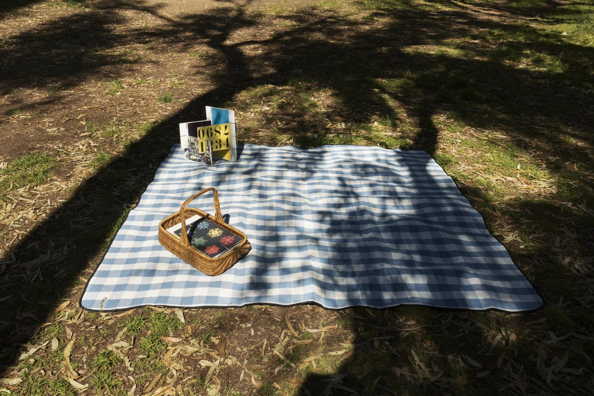 900A3465- Edit copy 2.jpg