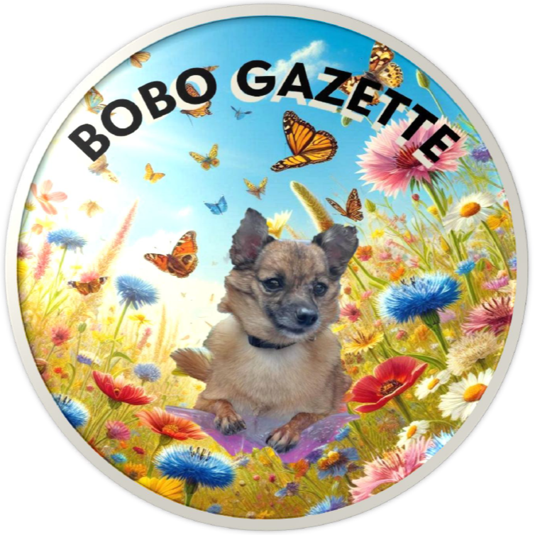August Newsletter Image for Bobo Gazette