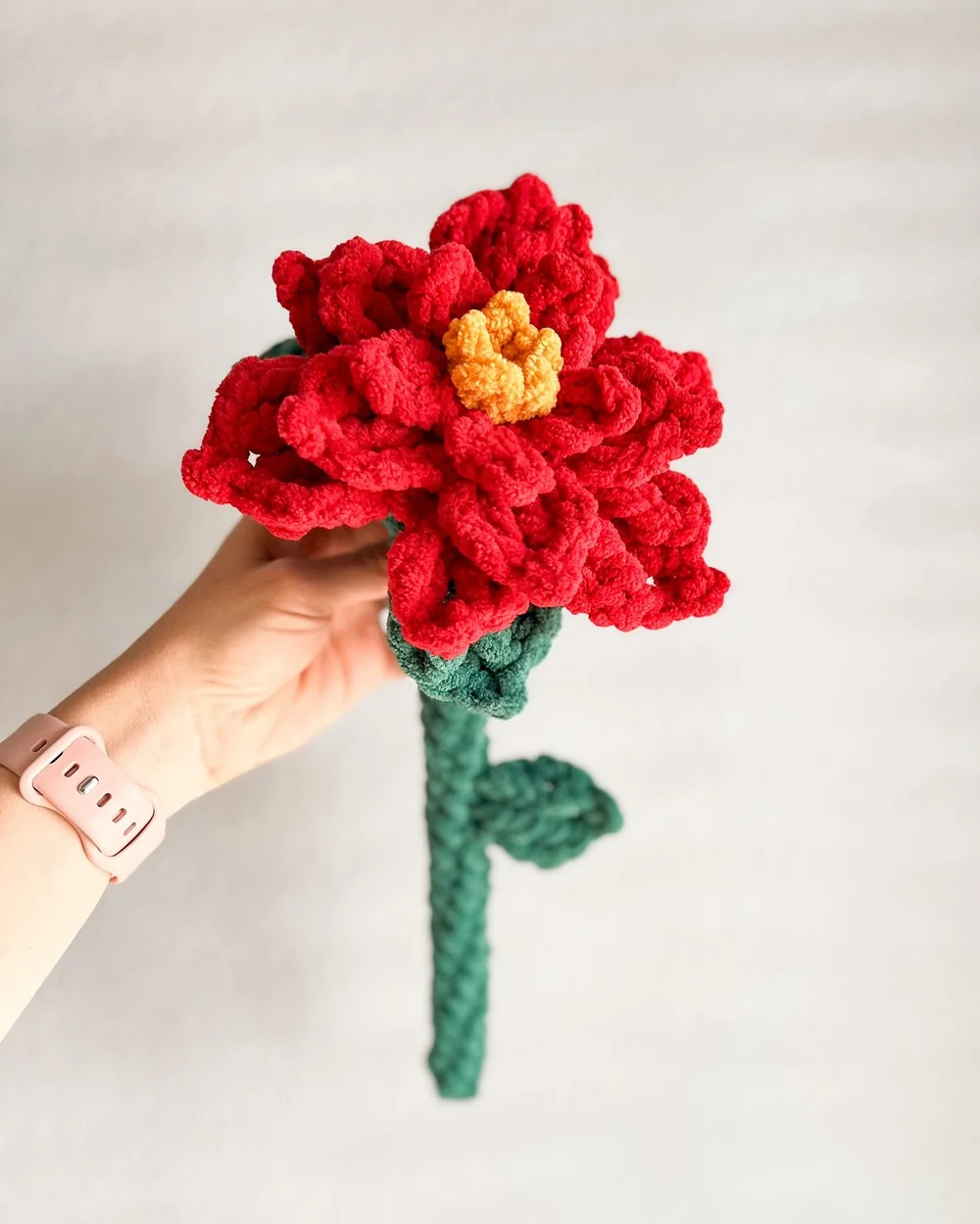 ✨ Poinsettia ✨

When my flower patterns really started taking off, one of the first flowers to pop into my mind right after was the poinsettia. 😍

Poinsettias are gorgeous flowers symbolizing good will and community spirit. 

I find this so special,