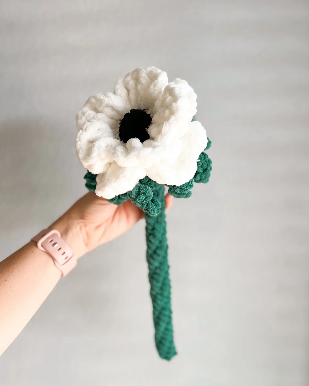 ✨ Anemone ✨

Also sometimes called the Poppy Anemone, since it so very closely resembles a Poppy. The Anemone often symbolizes love and passion. 🤍

When I was researching flowers to make for a winter and Christmas themed bouquet, I started looking i