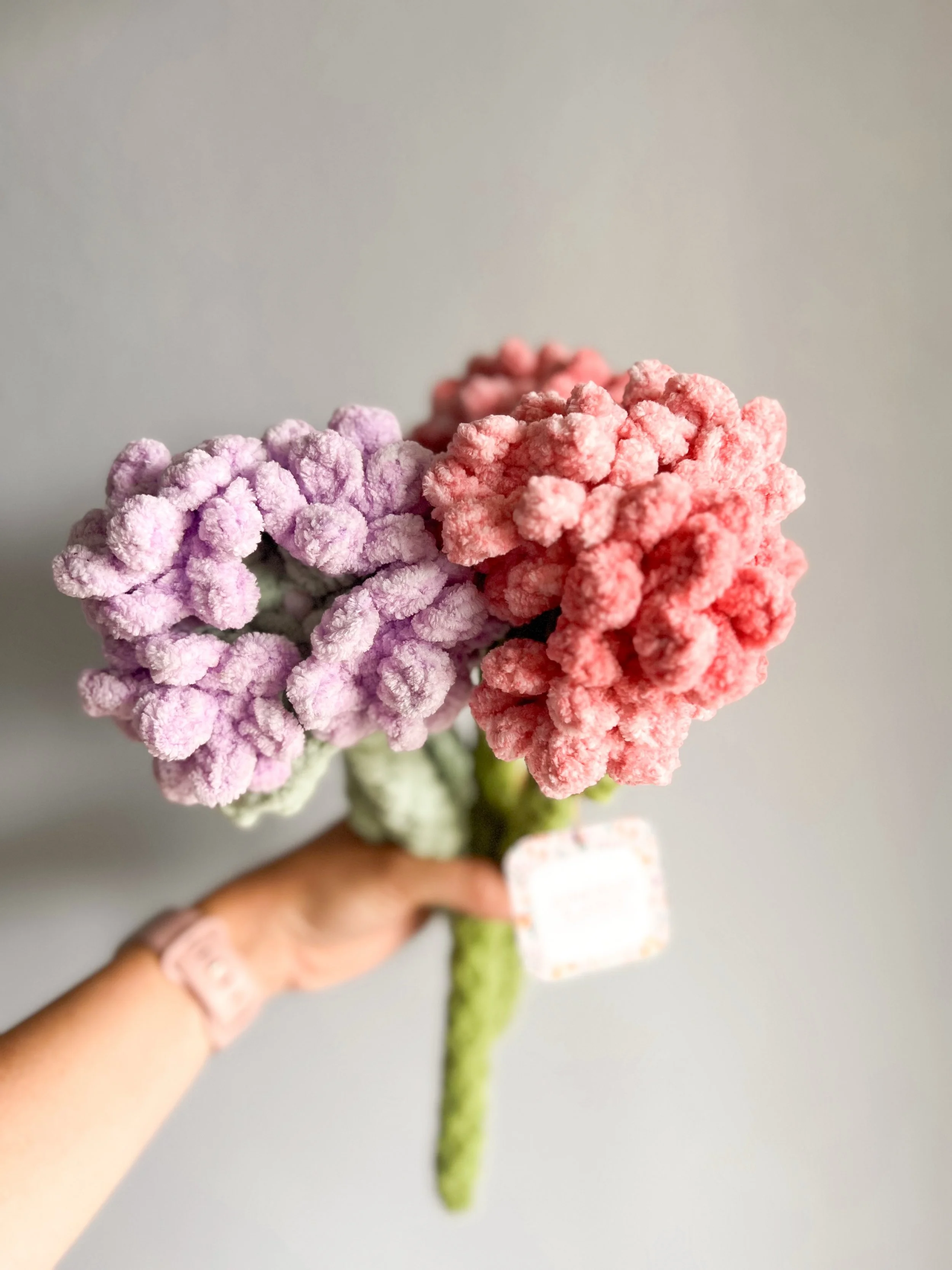 Life lately. 💜

Hydrangeas blooming, new projects made, strawberries picked, fun coffee drinks, family time, walks, sunshine, good food, kitty cuddles, sharing fun flower bouquet ideas with you all. 

2025 was a hard year, but this year has been rea
