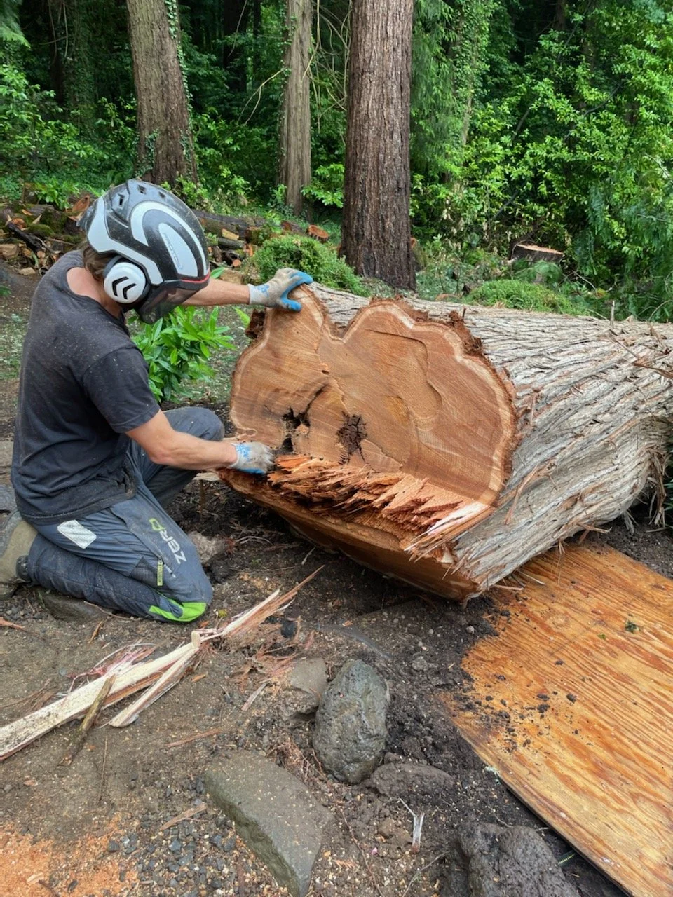 A person wearing a helmet, gloves, and dark clothing is kneeling on the ground, using a tool to carve or shape a large, freshly cut tree trunk in a forested area.