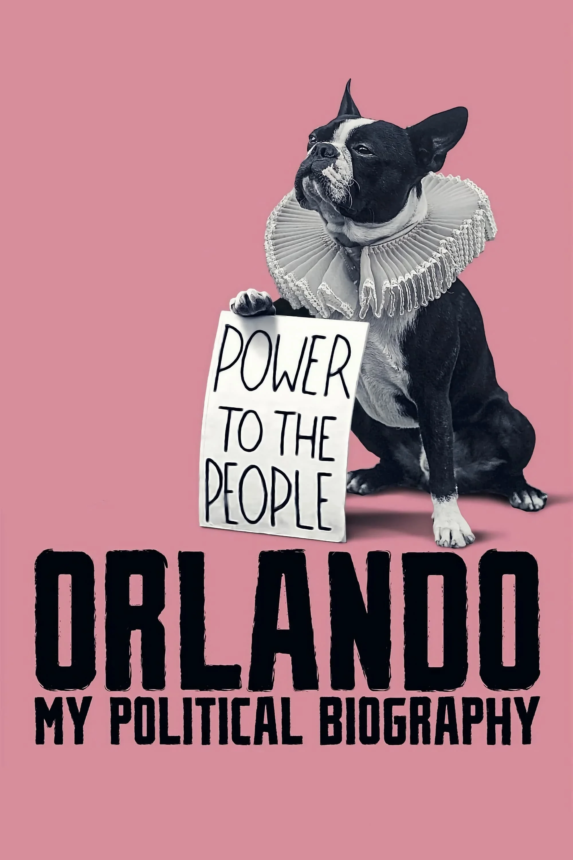 Orlando My Political Biography.jpeg