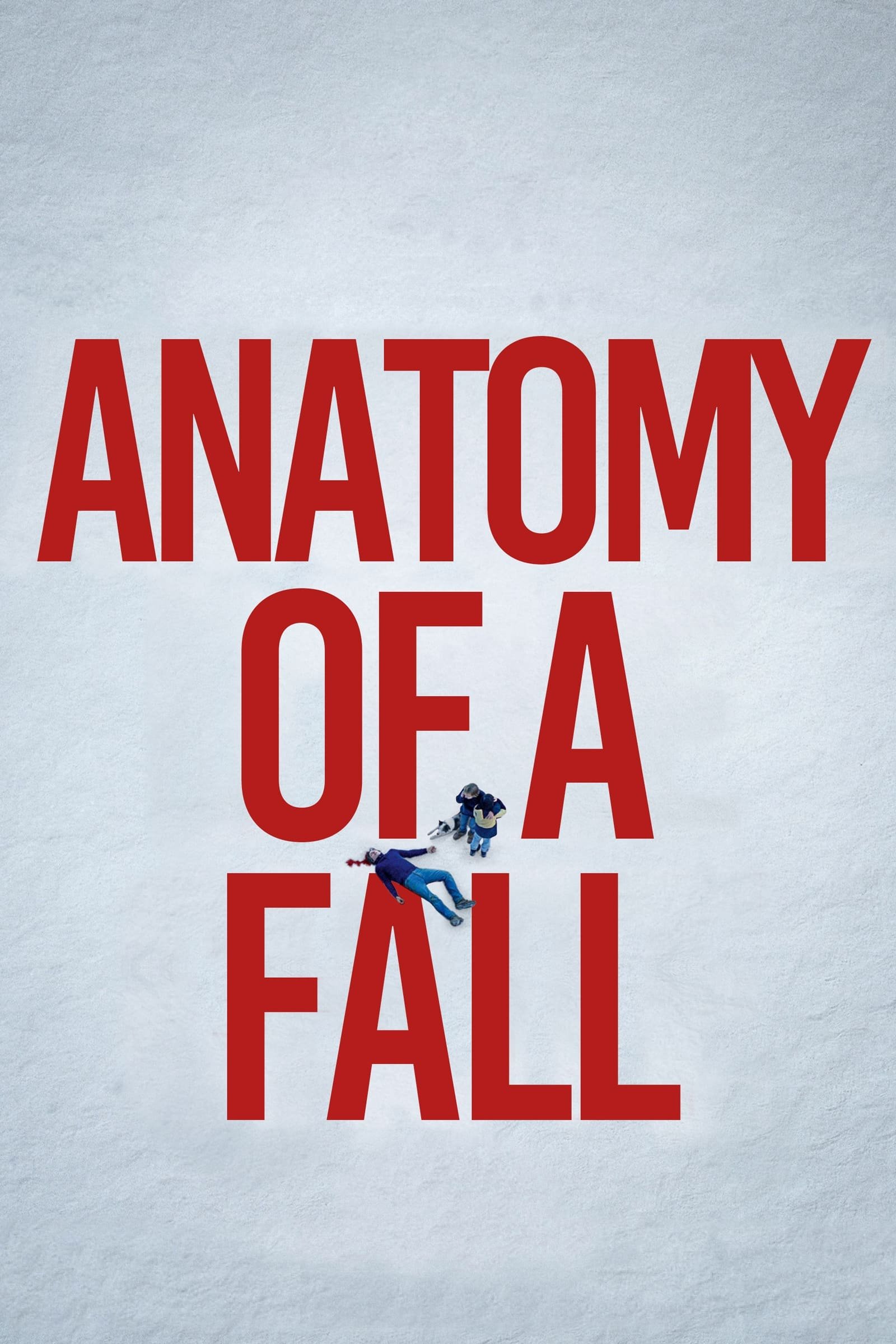 Anatomy of a Fall 2.jpeg