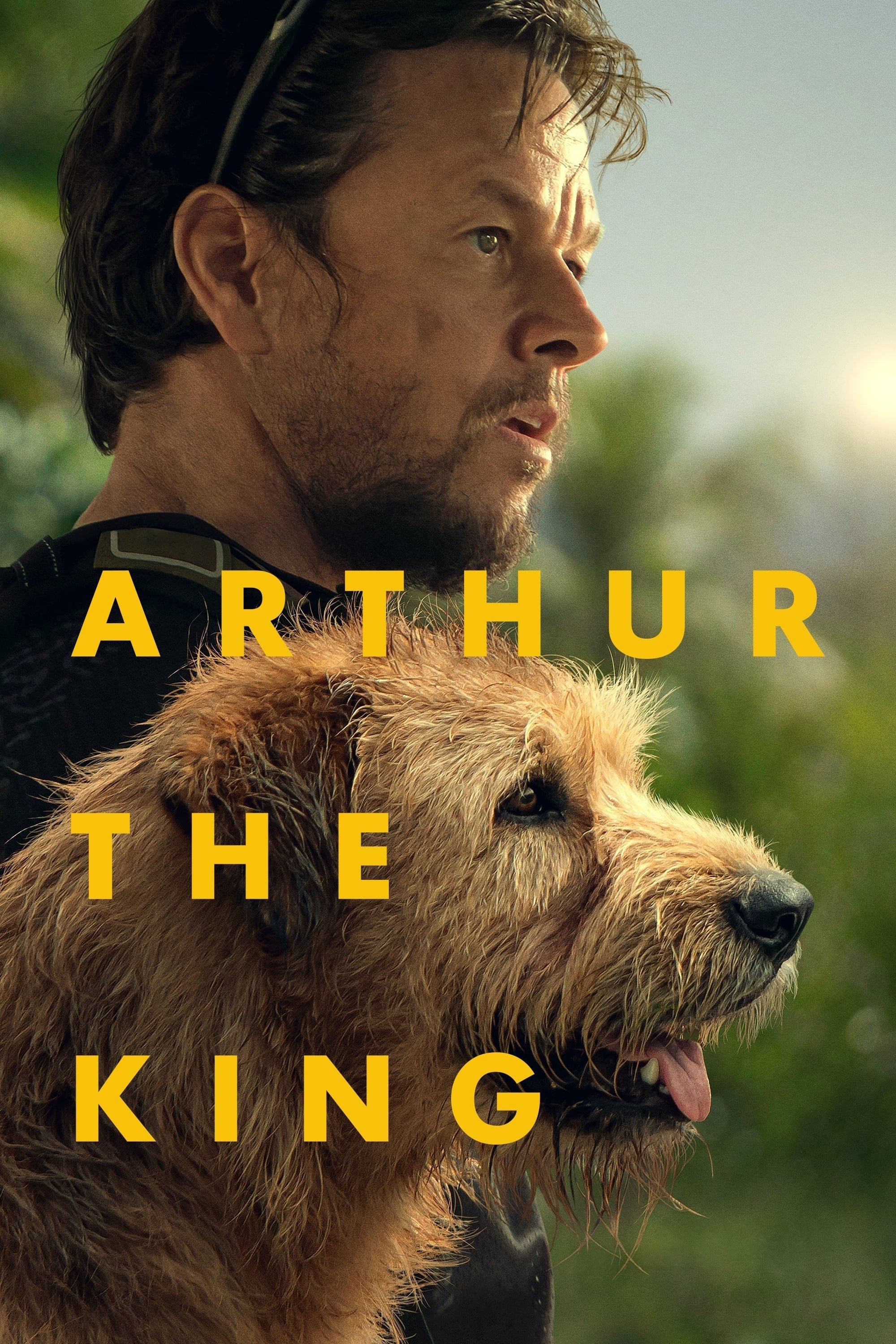 Arthur the King 3.jpeg