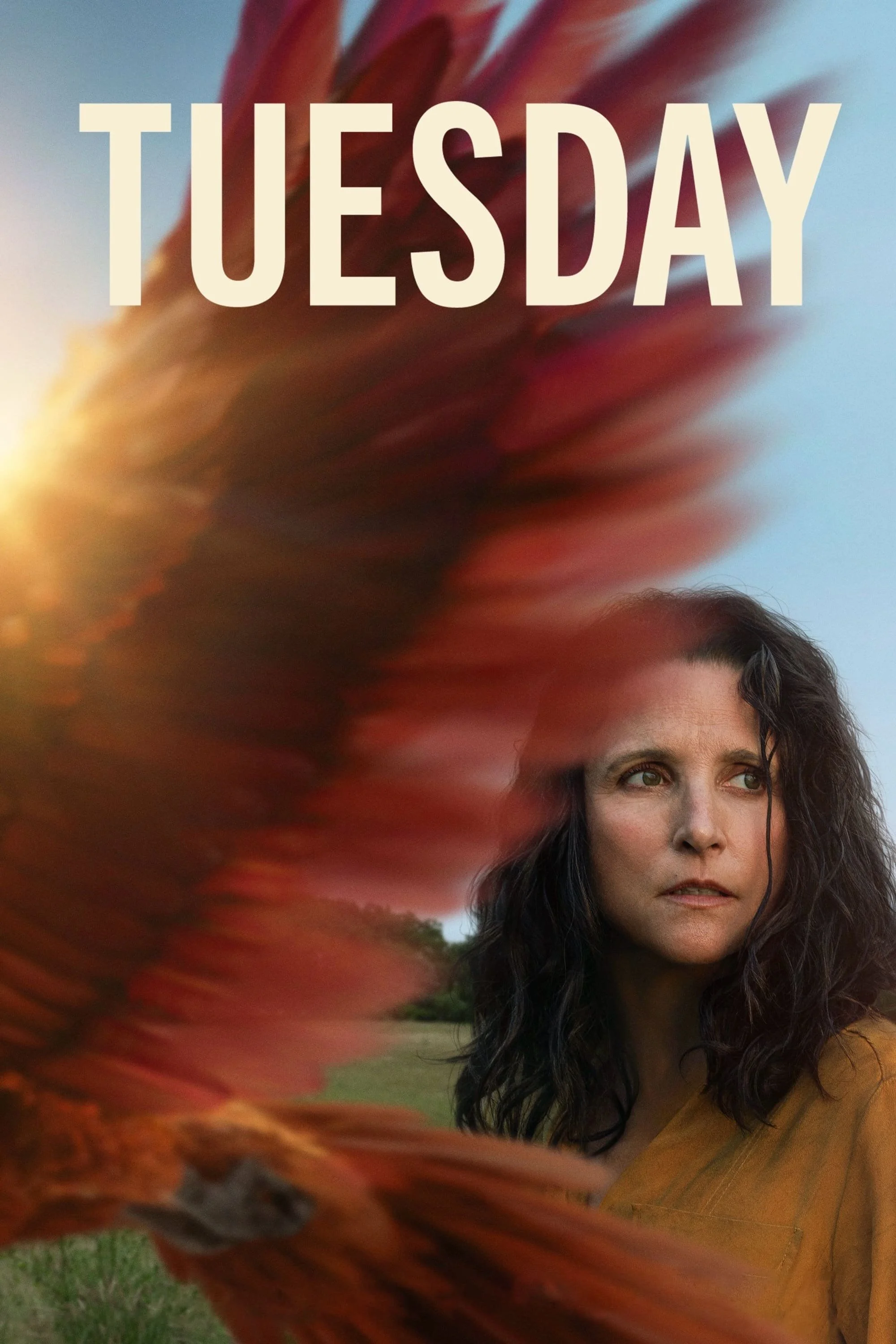 Tuesday Movie.jpeg