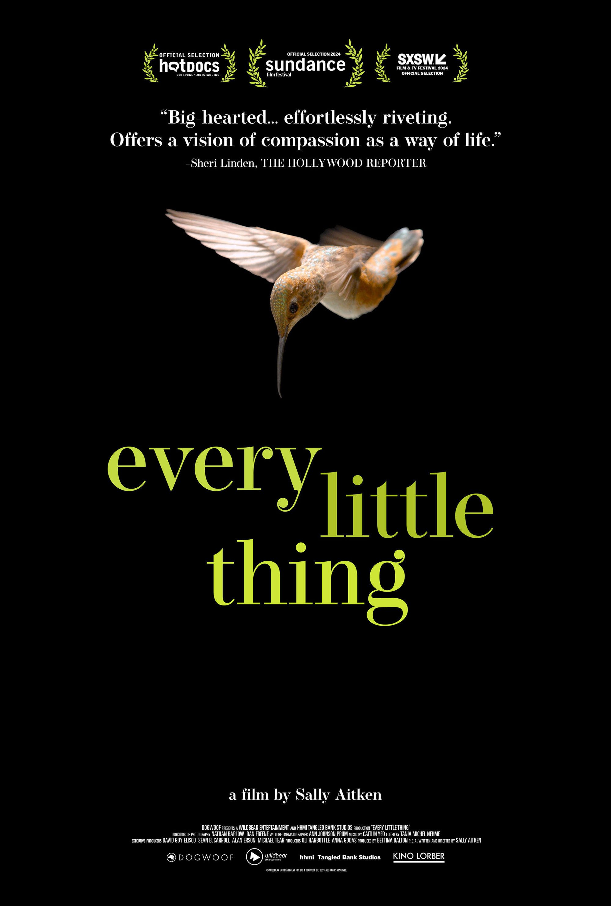 Every Little Thing.jpeg