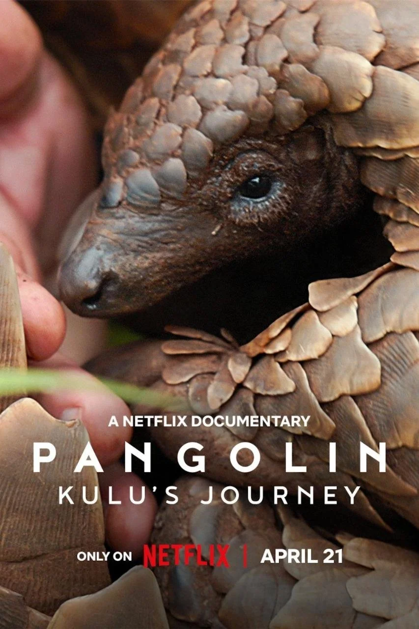 Pangolin Kulu's Journey 3.jpeg