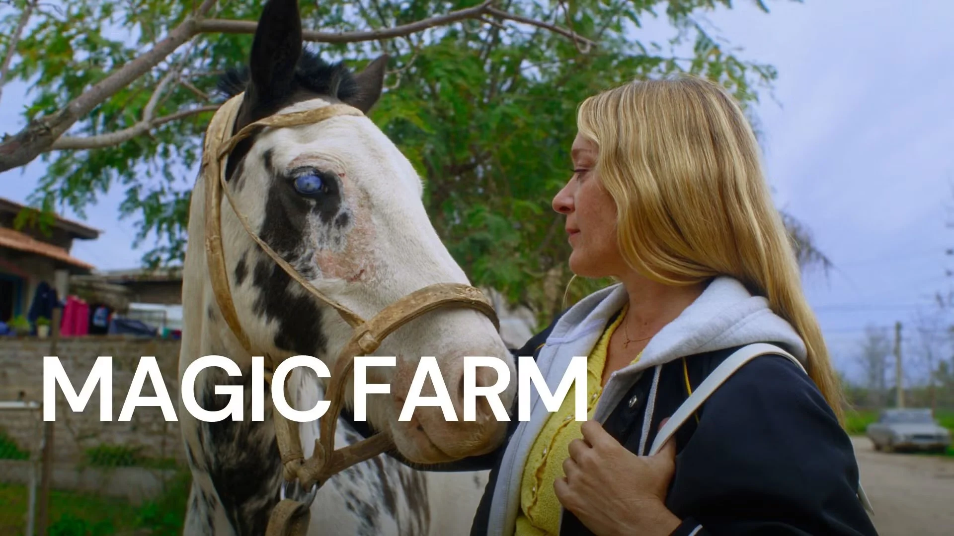 Magic Farm Horizontal 1.jpeg