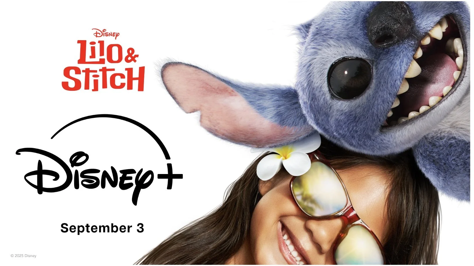 Lilo and Stitch Horizontal Disney .jpg