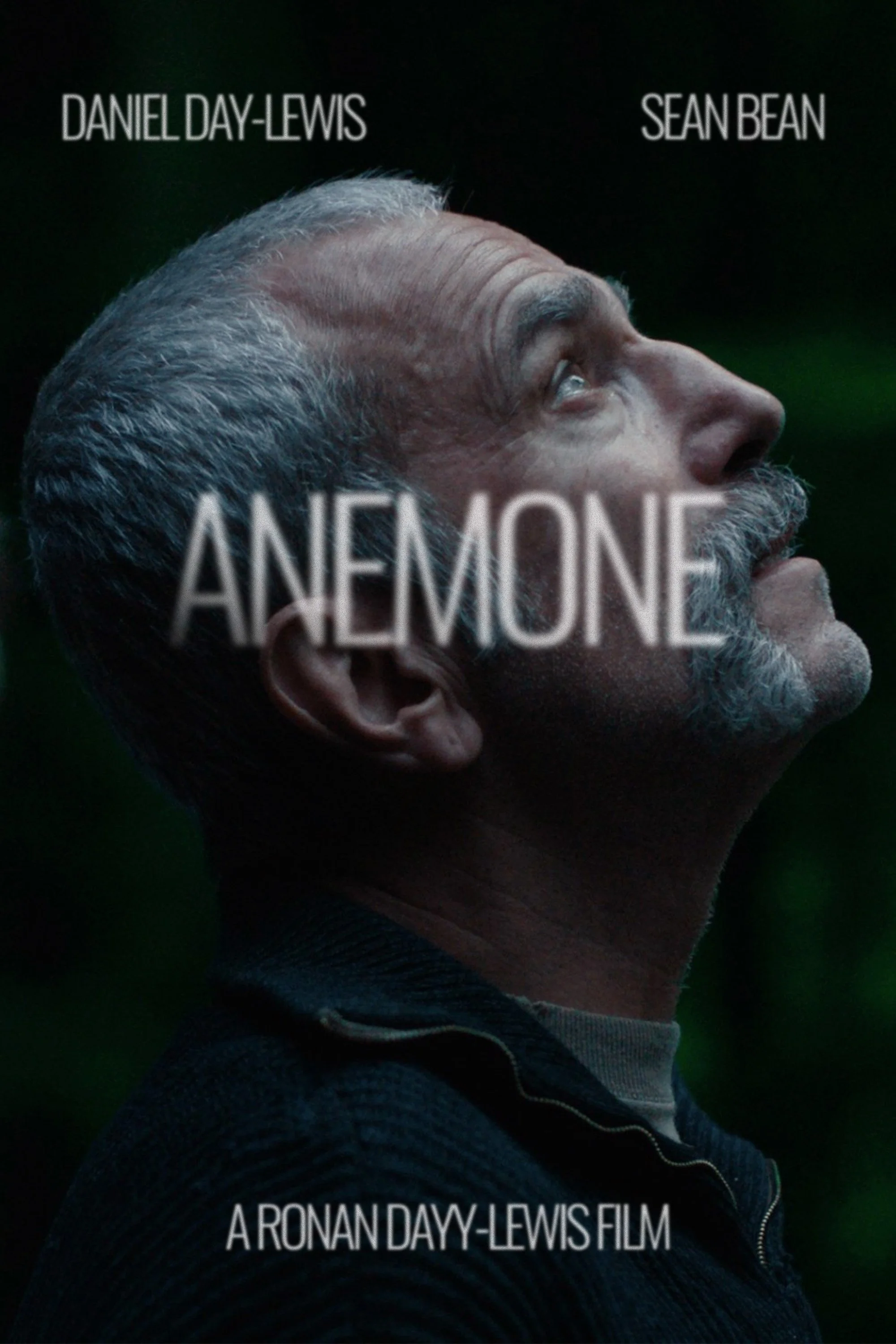 Anemone.jpeg