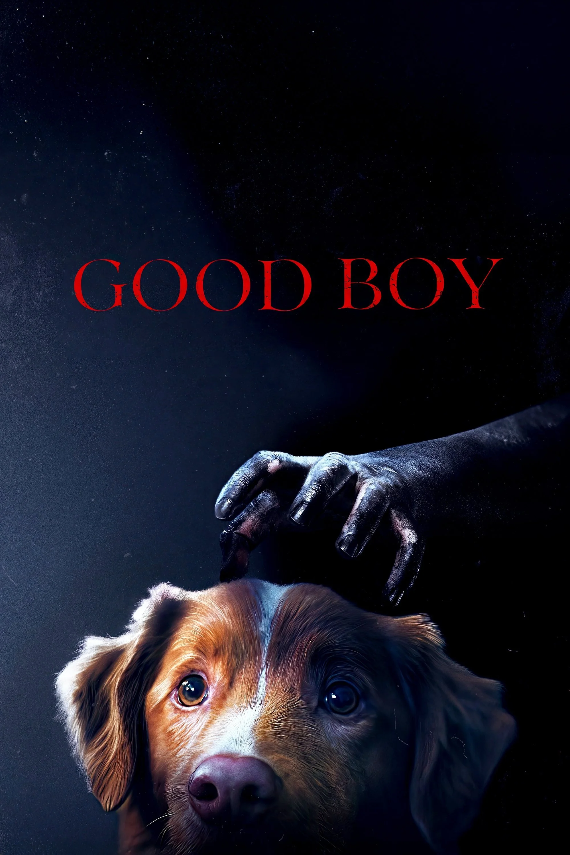 Good Boy 11.jpeg