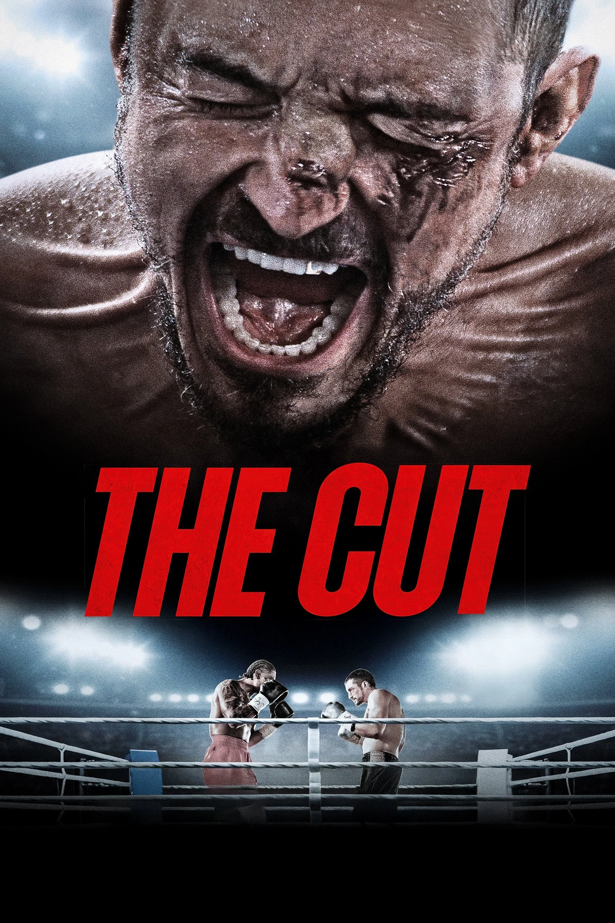 The Cut 1.jpeg
