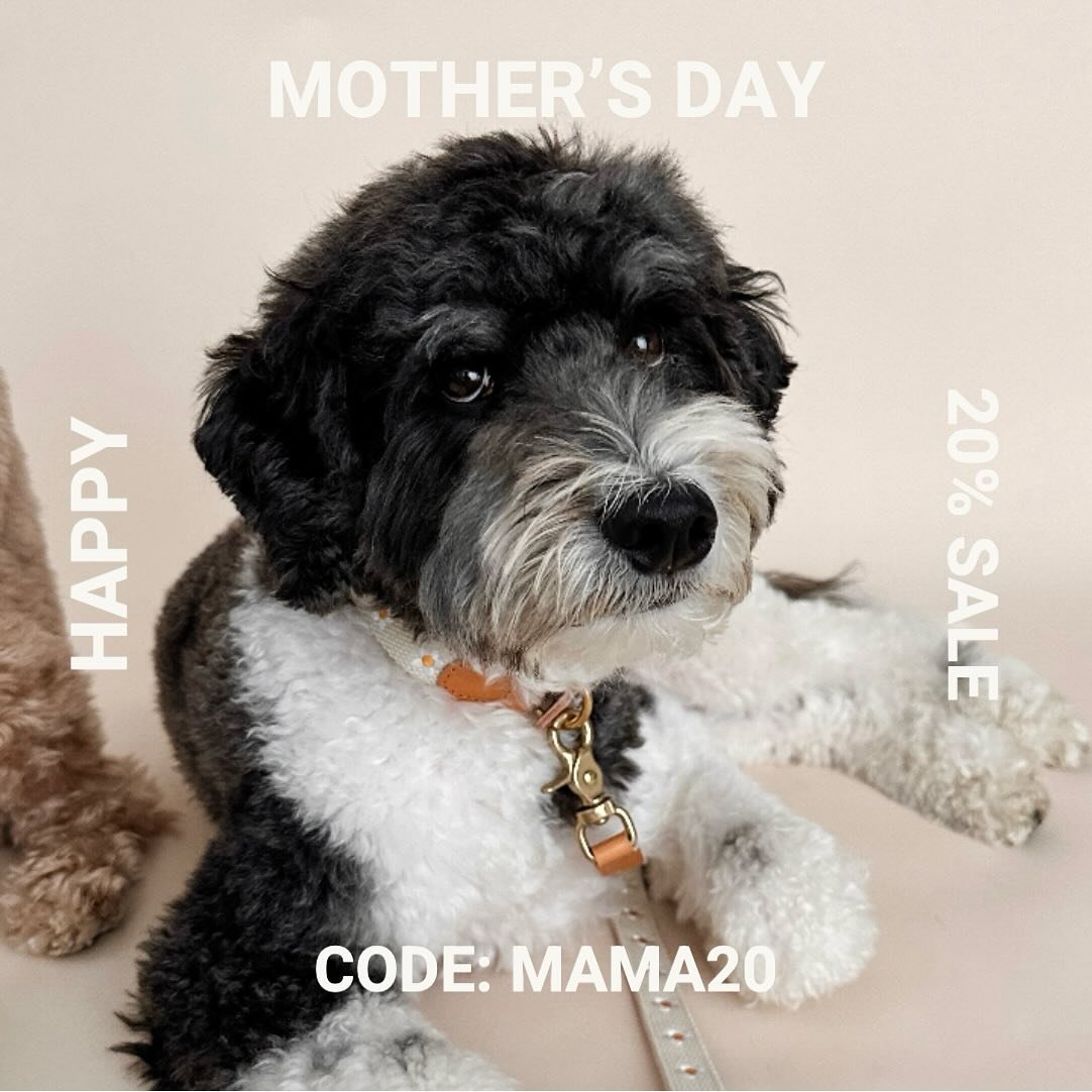 🌼HAPPY MOTHER&rsquo;S DAY🌼
All dog moms really going to love this🤍
All items 20% OFF Code: MAMA20 
Link in bio🔗✨
