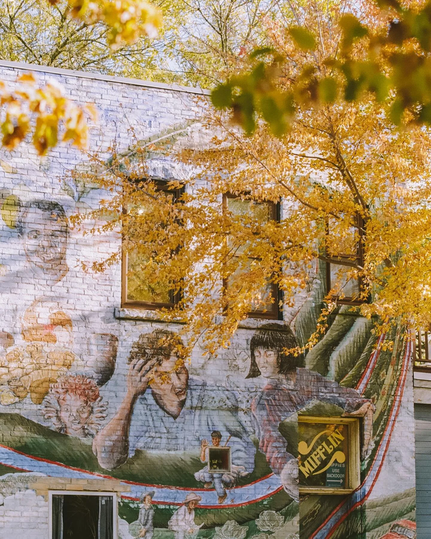 From a late-fall walk around the city