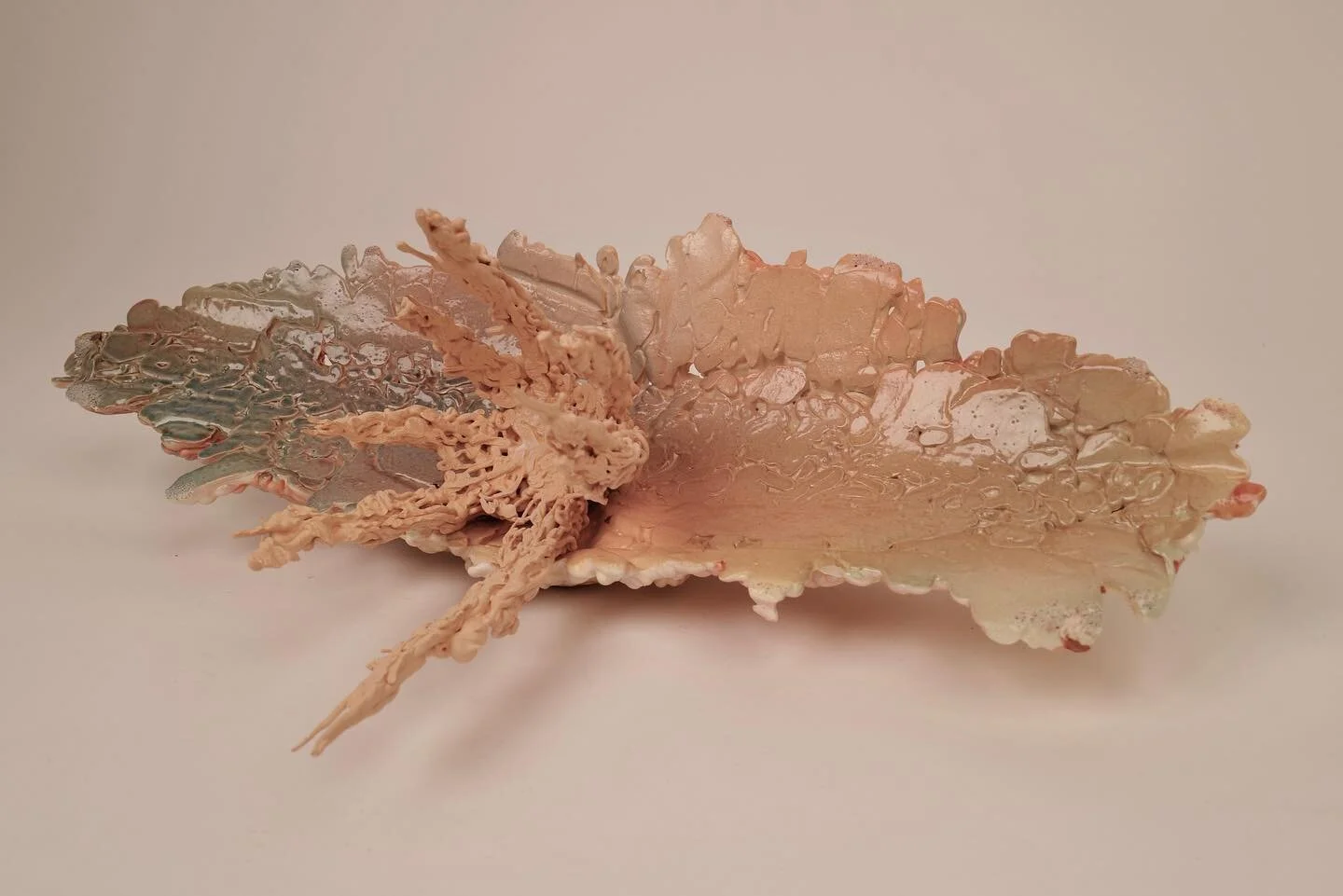 Living things in progress

#ceramics #clay #clayartwork #hybrid #stoneware