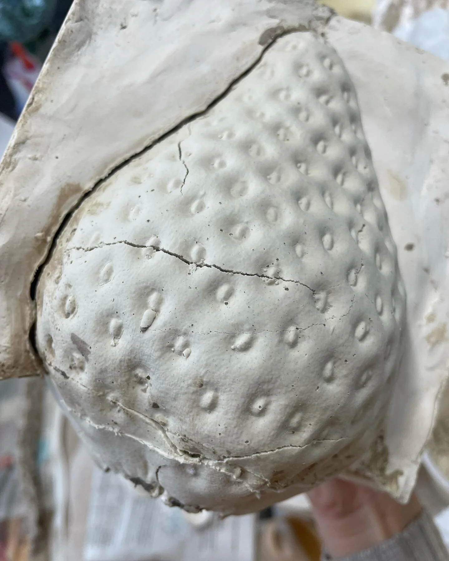 Moments for breaking some vigor and vitality!

#clay
#glaze
#porcelain 
#stoneware