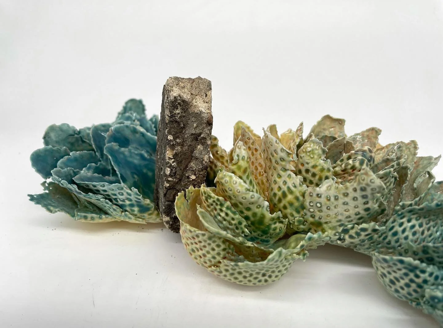 The living being with fragment of floor tile. 

Competitive and reversion

#clay
#porcelain 
#combination 
#living space