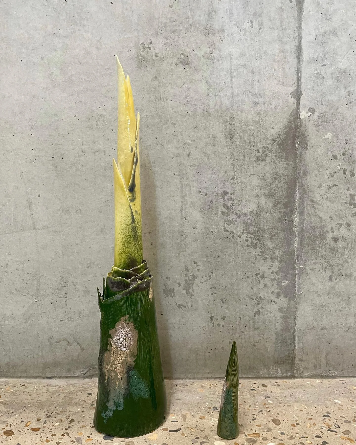 Fast growing bamboos👻

#ceramics #clay #porcelain #stoneware