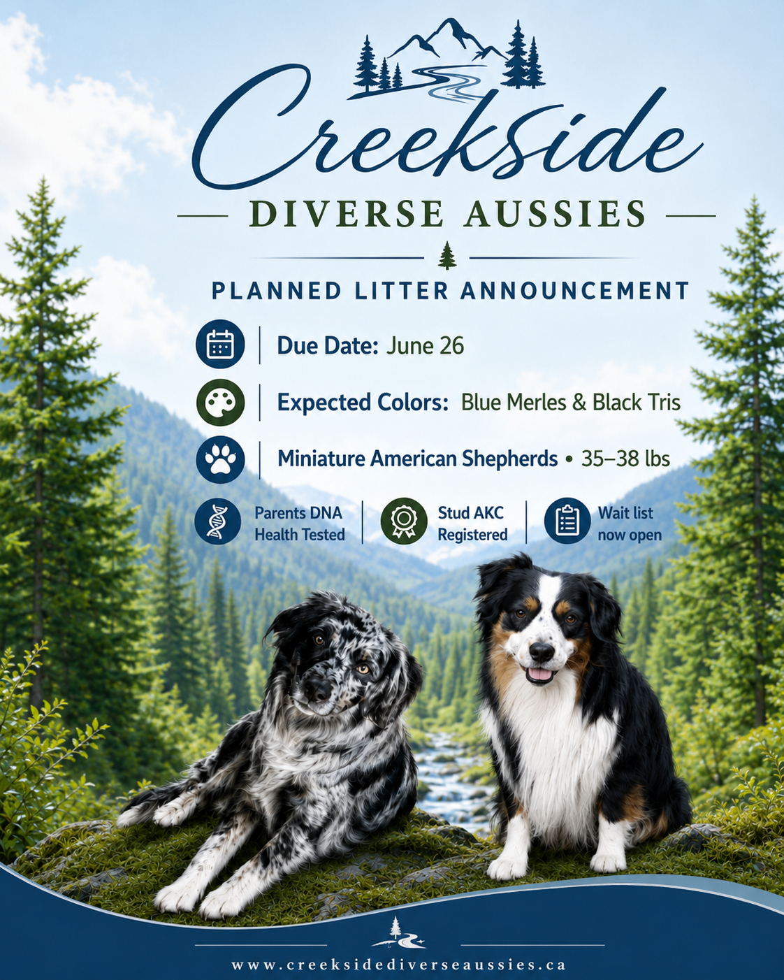 Litter Announcement