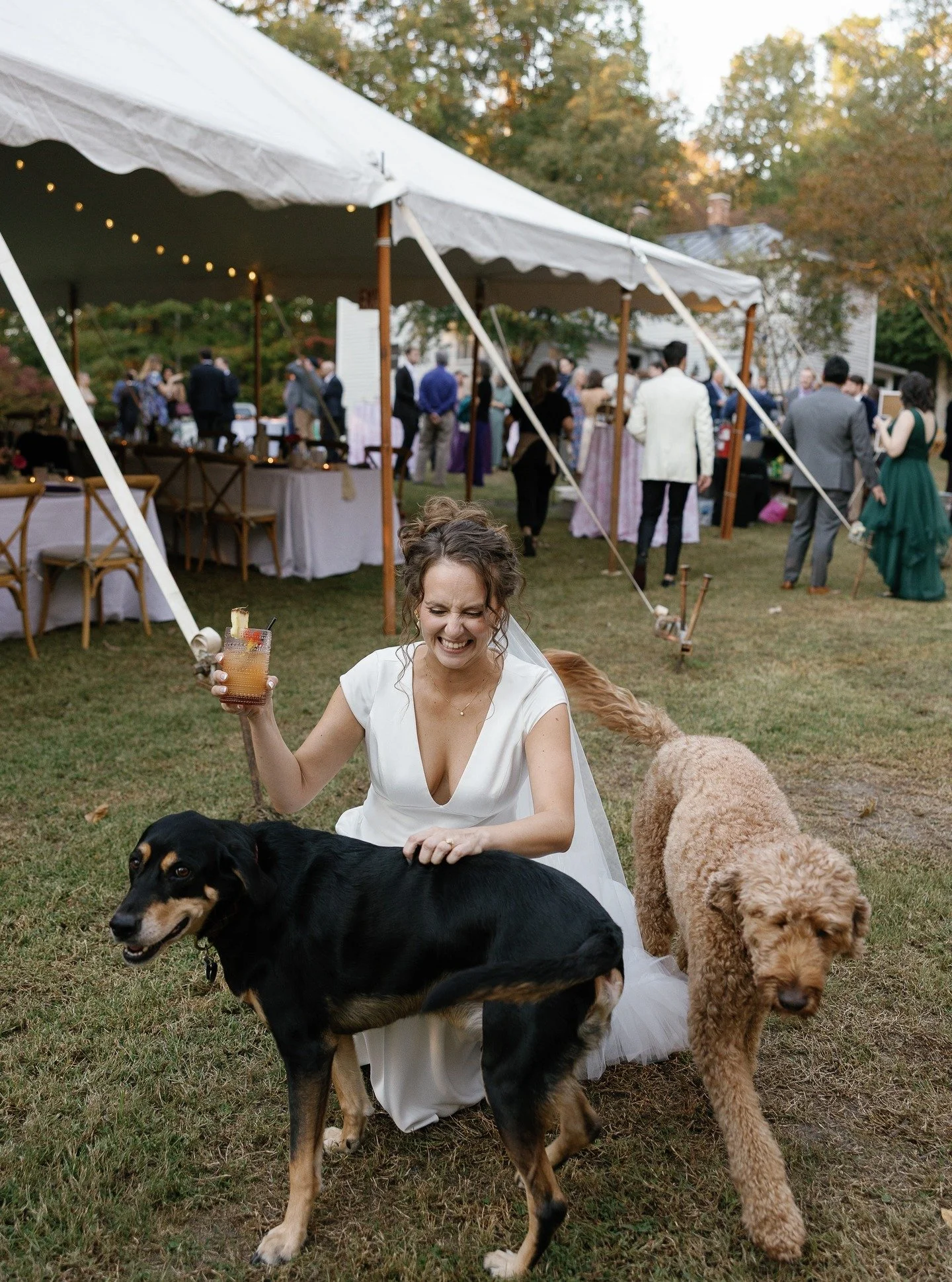 Pineapple daiquiri in one hand and cocktail hour with your favorite four-legged friends is a Pinterest-worthy wedding moment for your 2026 #backyardwedding board 🐾🍍🥂
Z&amp;P's whole night was stand out and I wish I could go back <3 
✨ @aboutthy
