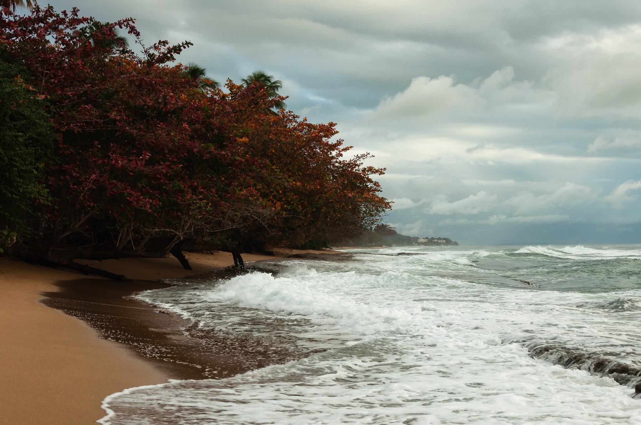 Beach near Rincon Puerto Rico