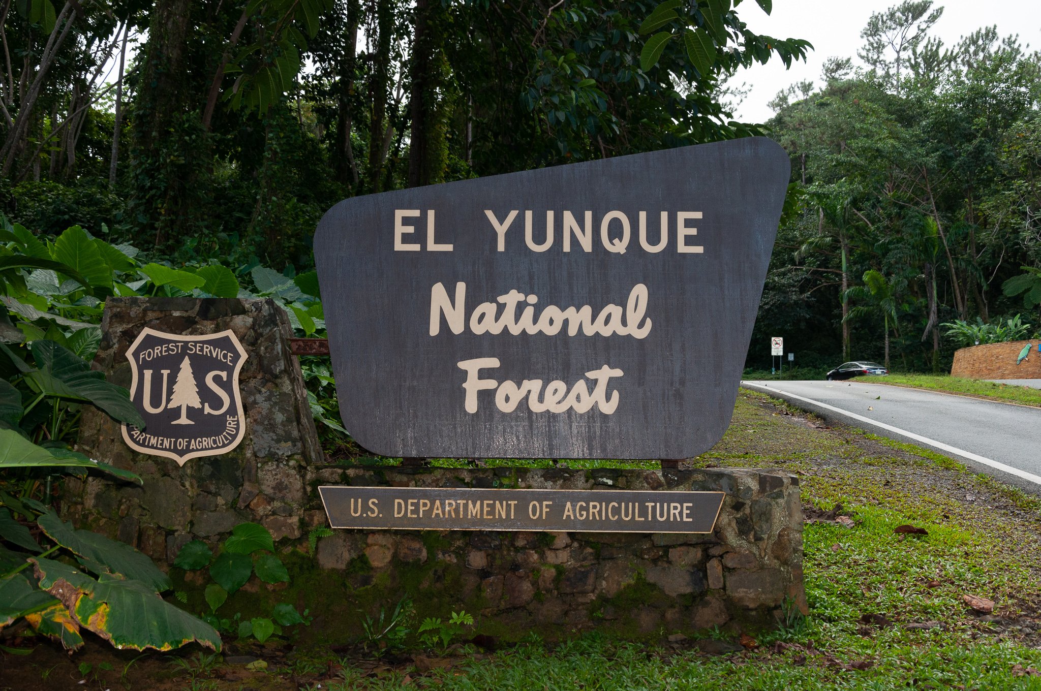 El Yunque.