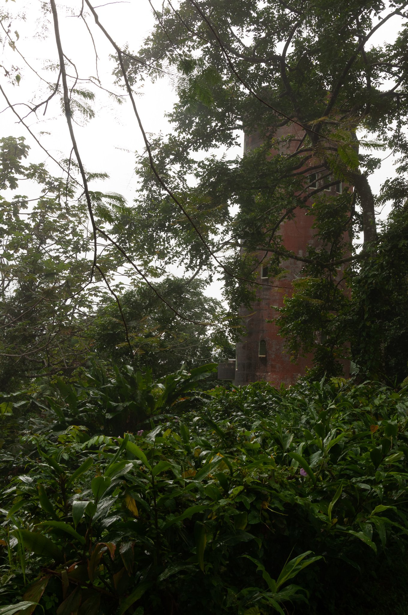 El Yunque 1.