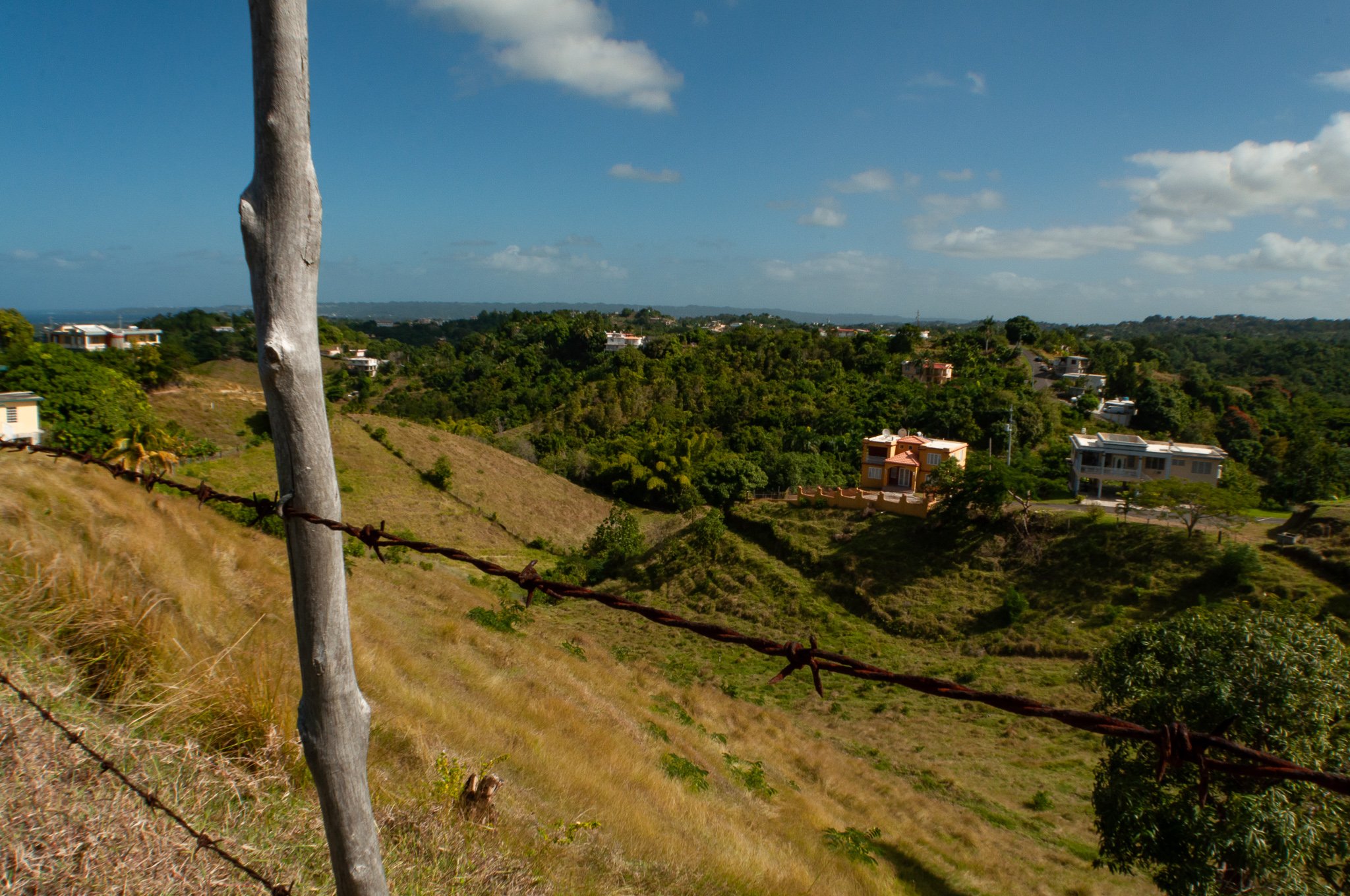 country side. Near rincon, Puerto Rico