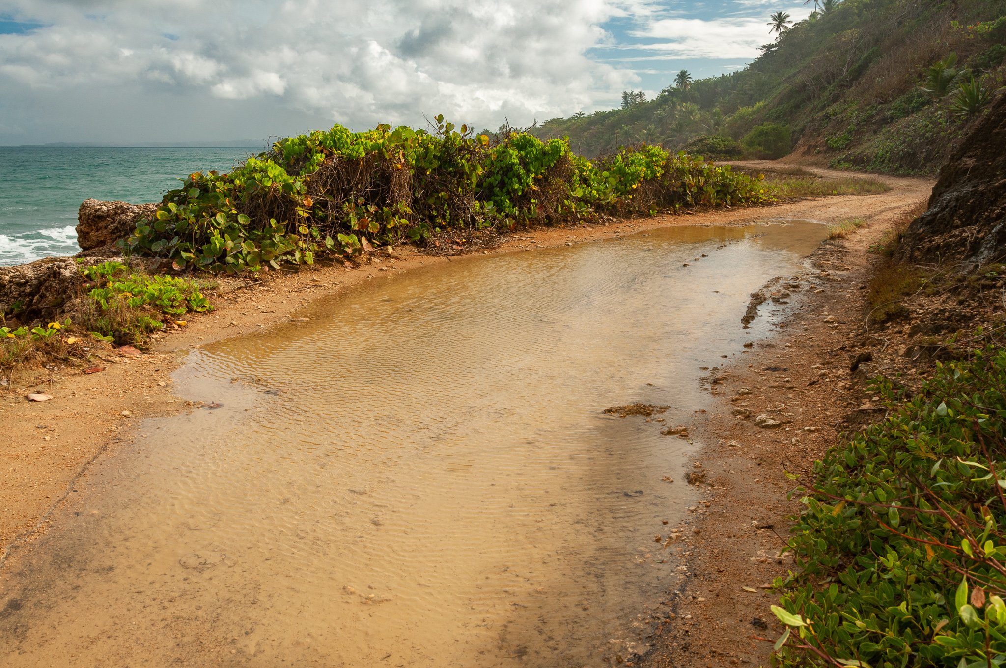 Rincon Puerto Rico