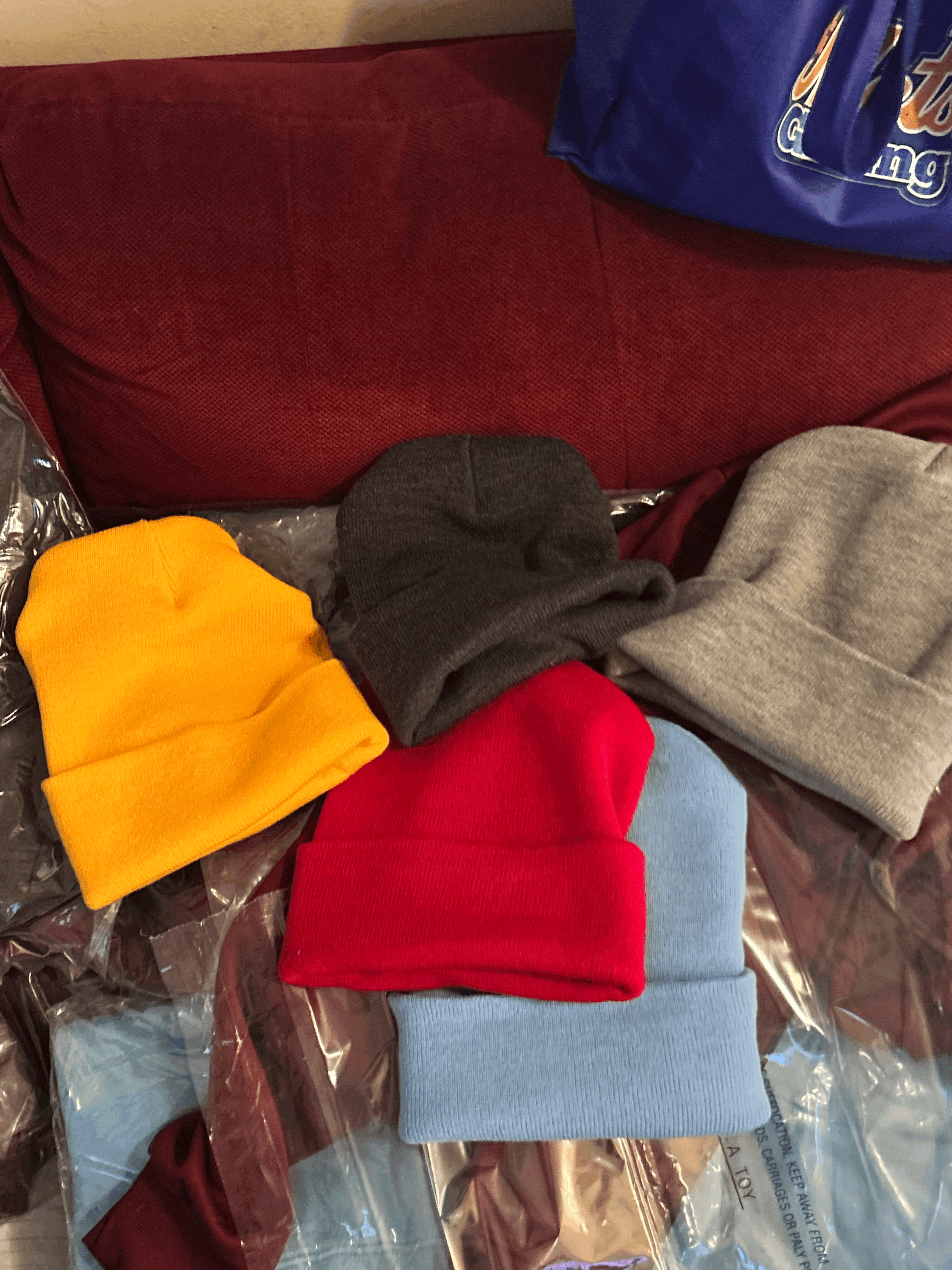 PH Embroidered Beanie