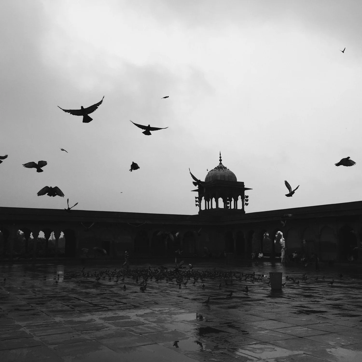 Jessica_Park_Photography_India7.JPG