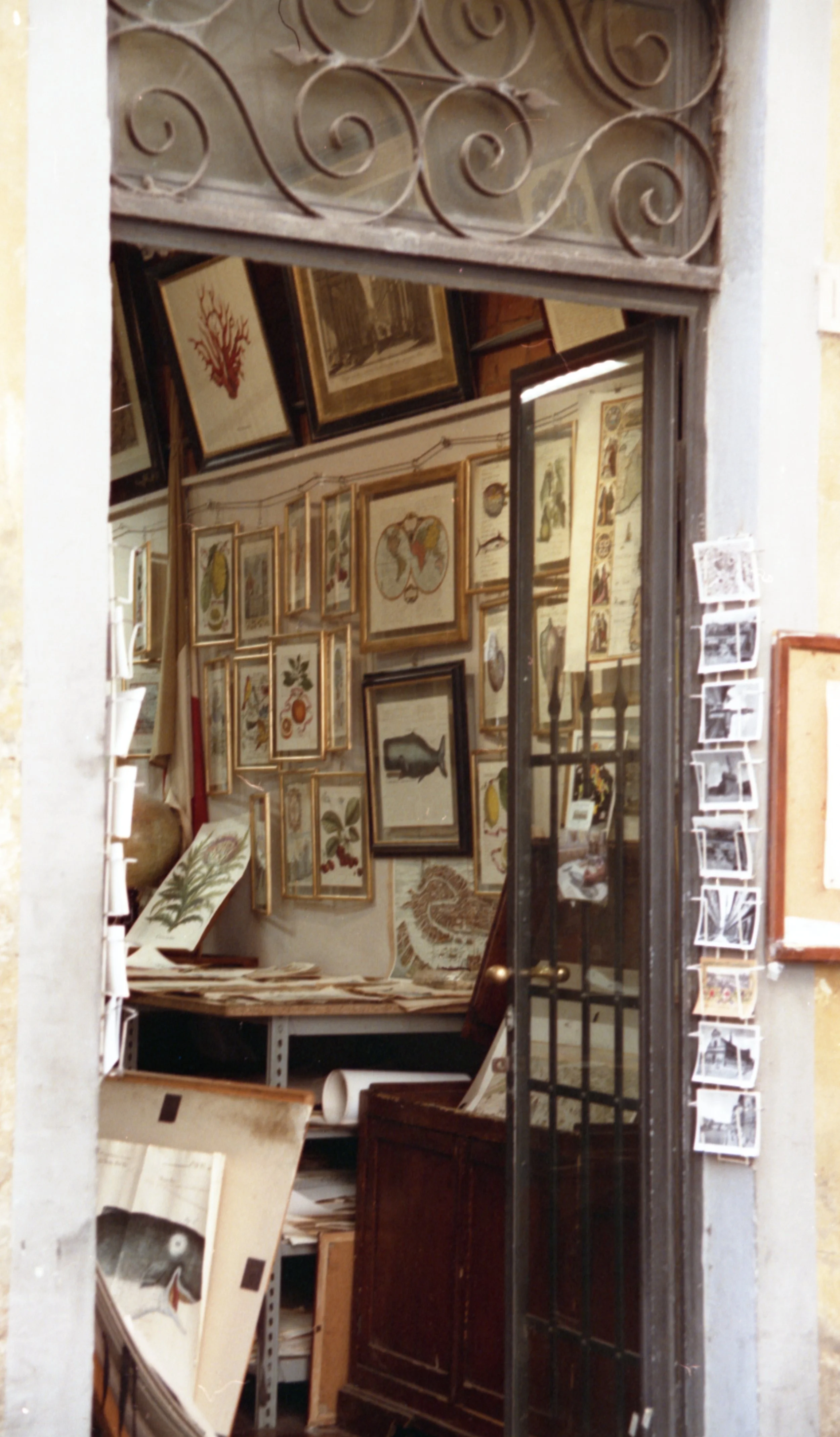 Jessica_Park_Firenze_10.jpg
