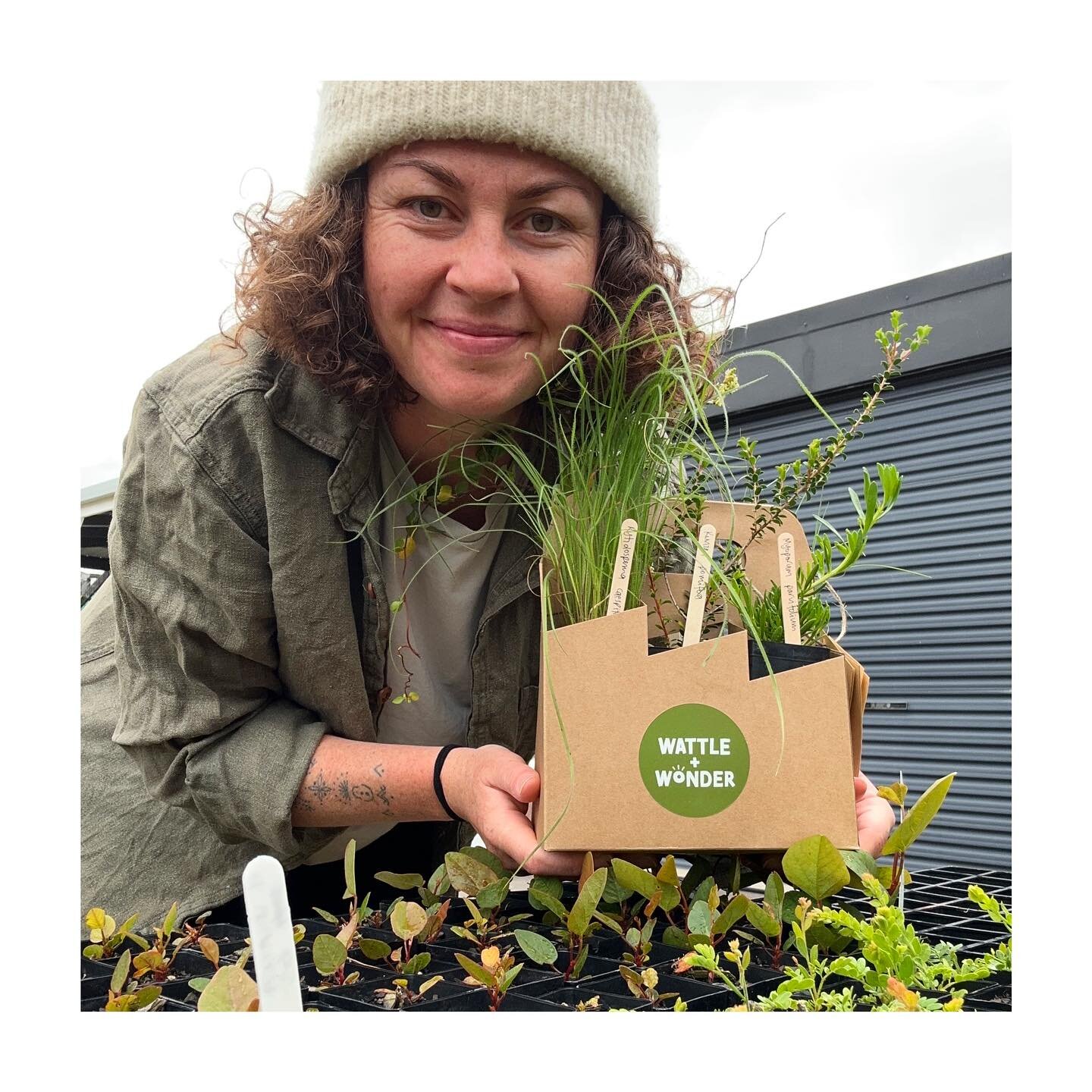 I&rsquo;ve been growing local native plants at home and they&rsquo;re now available to buy! 🌿

Choose your own species or grab a pre-made pack, you can order online or find me at @commongrounds.market this Sunday 🧡

Such a nice feeling when these p