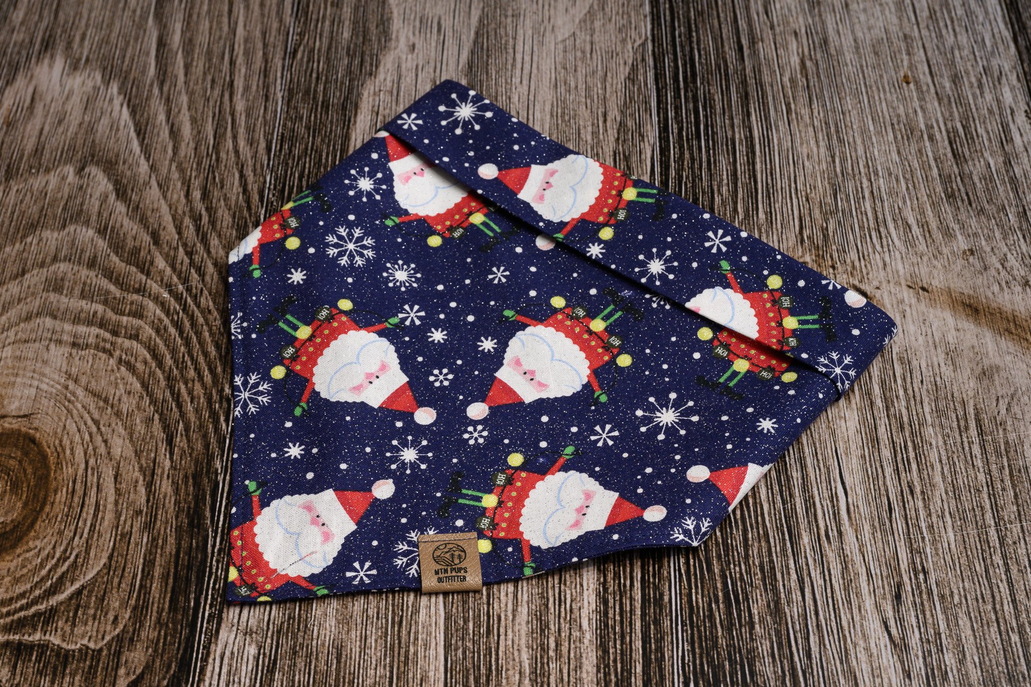 Holly Jolly Santa Paws